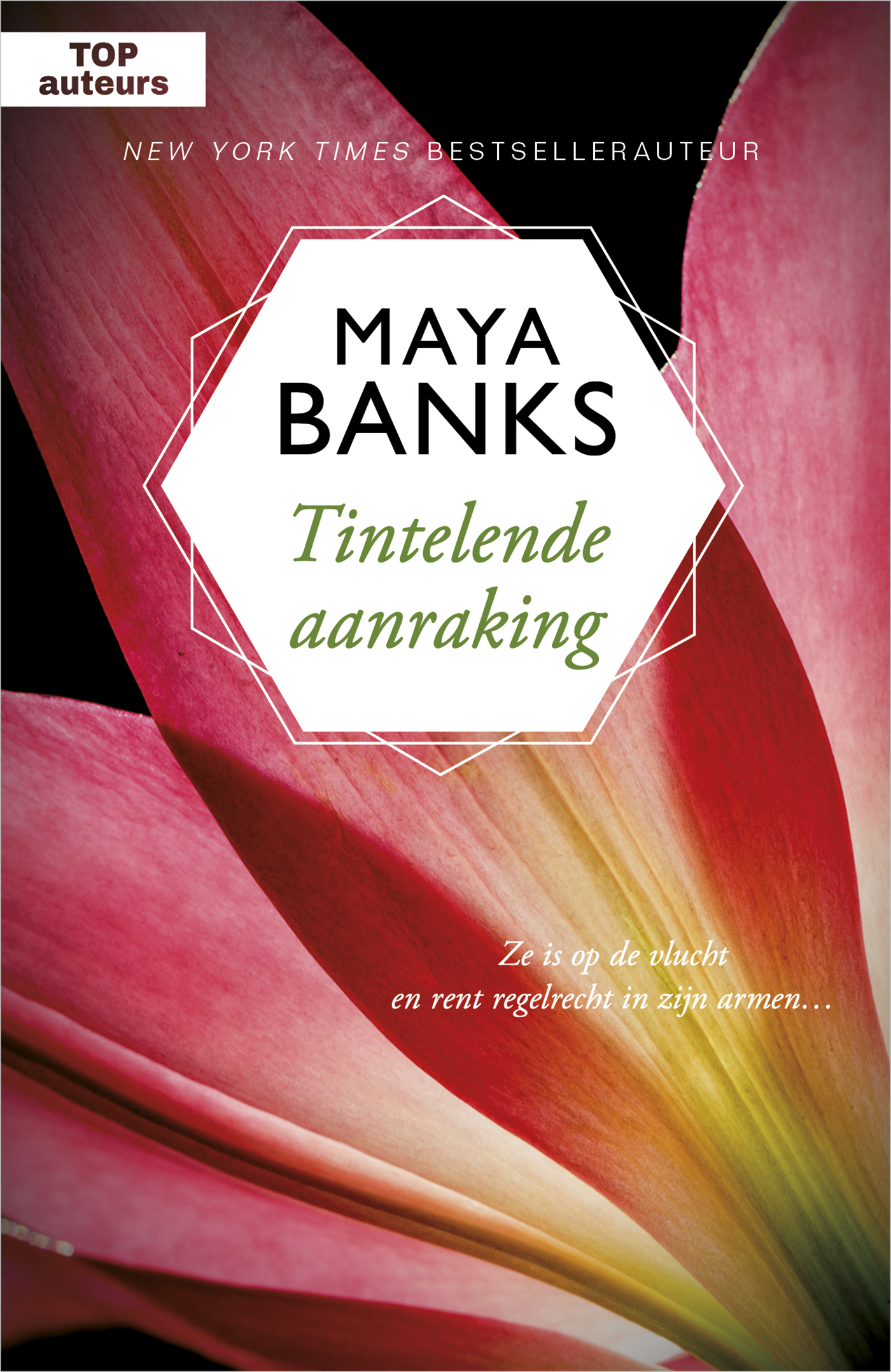 Omslag van Tintelende aanraking