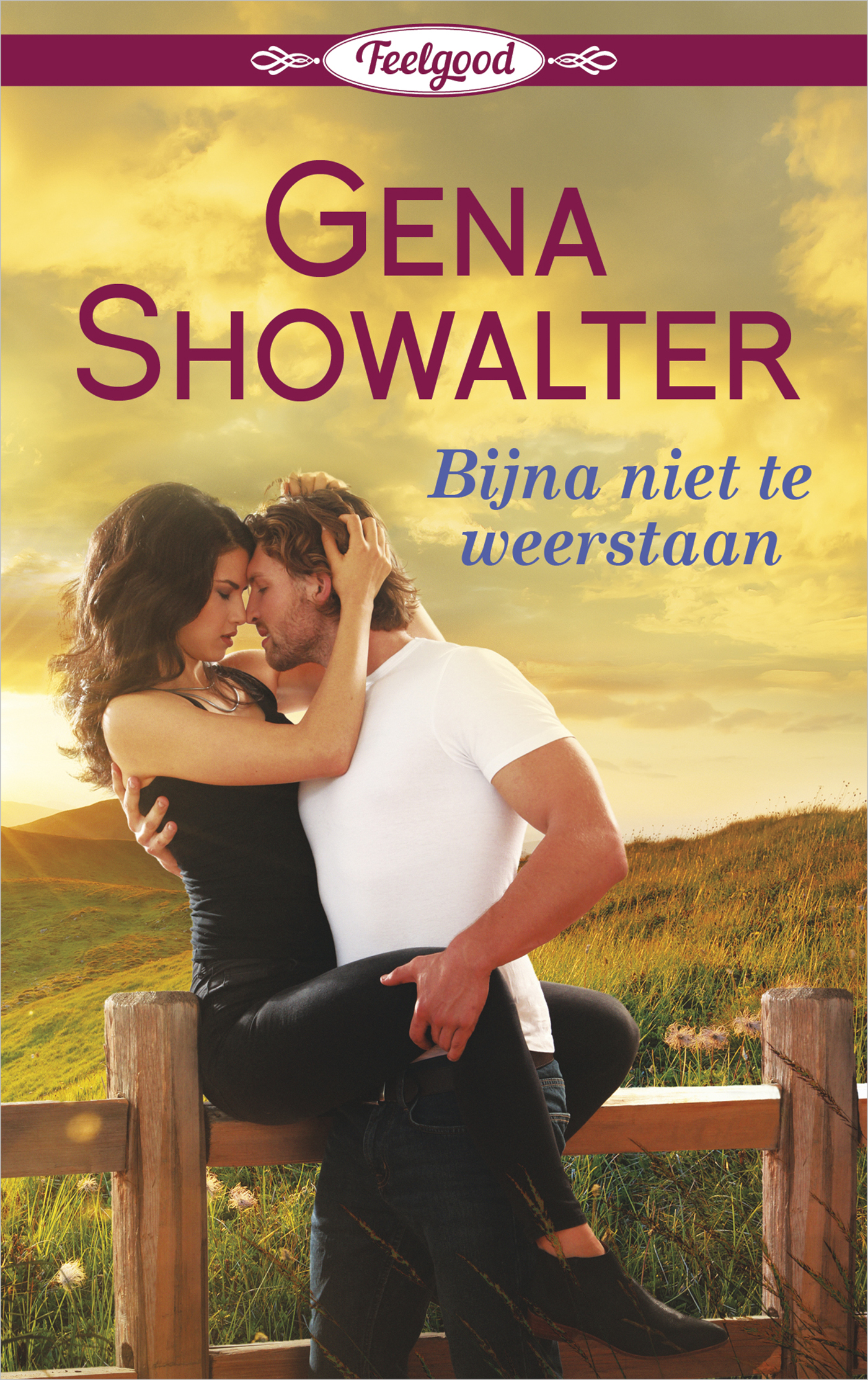 Omslag van Bijna niet te weerstaan