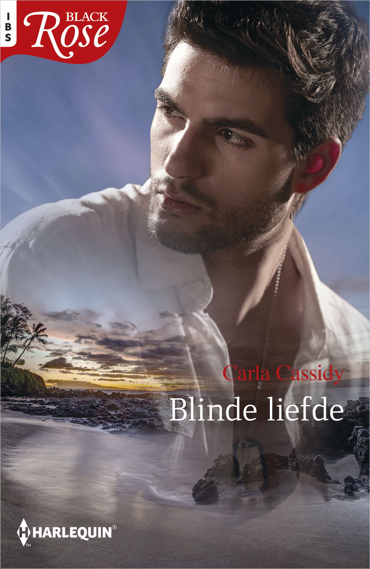Omslag van Blinde liefde