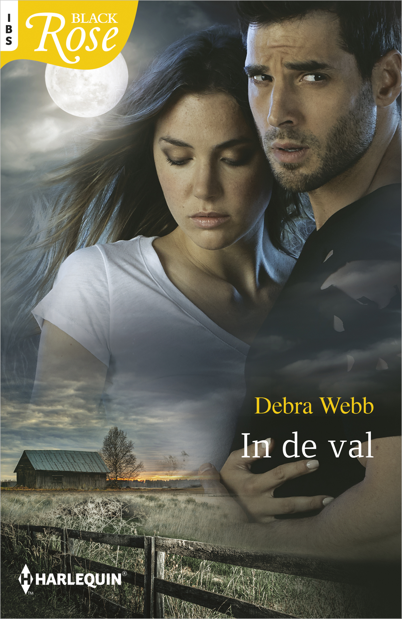 Omslag van In de val