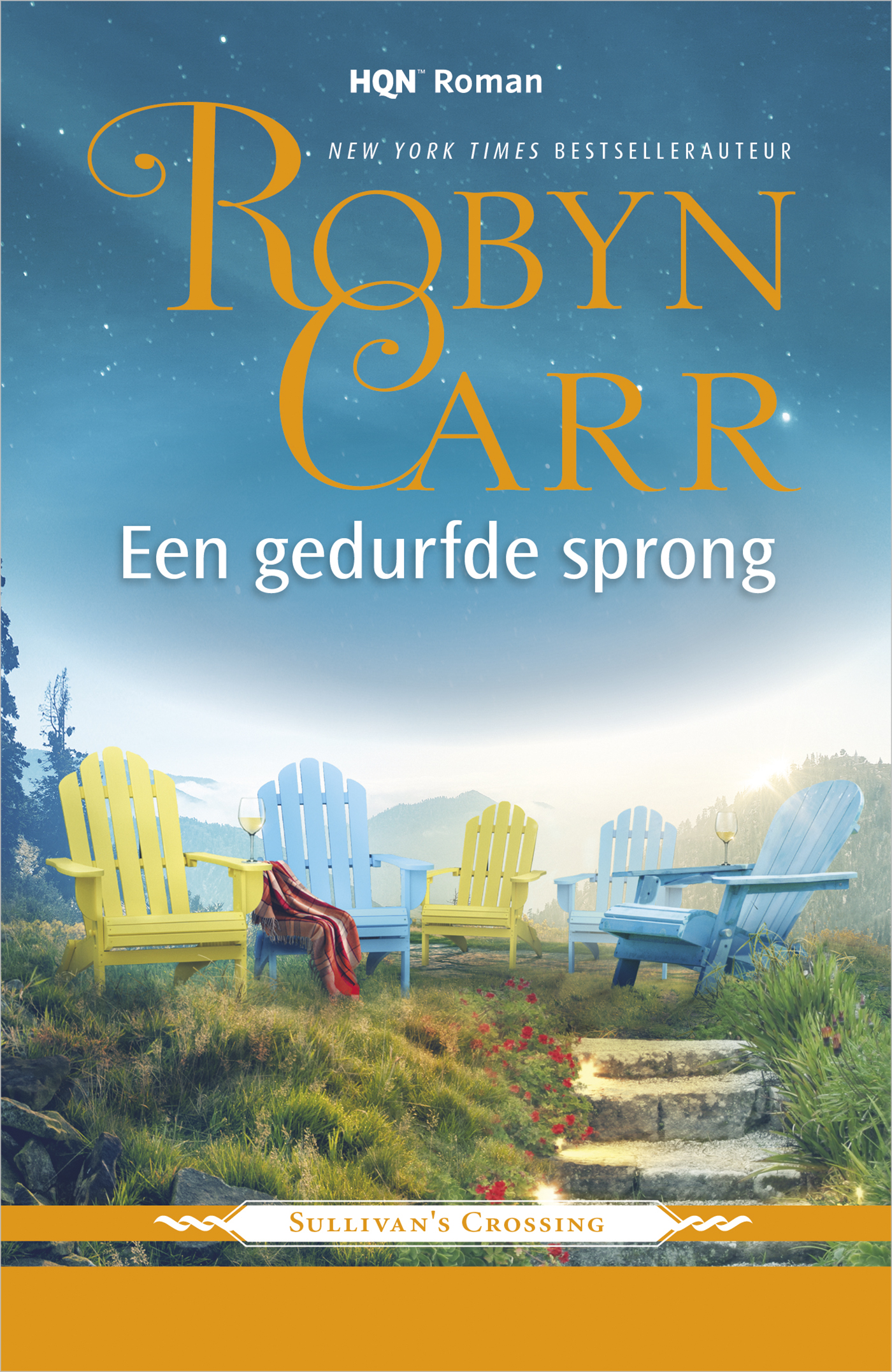 Omslag van Een gedurfde sprong
