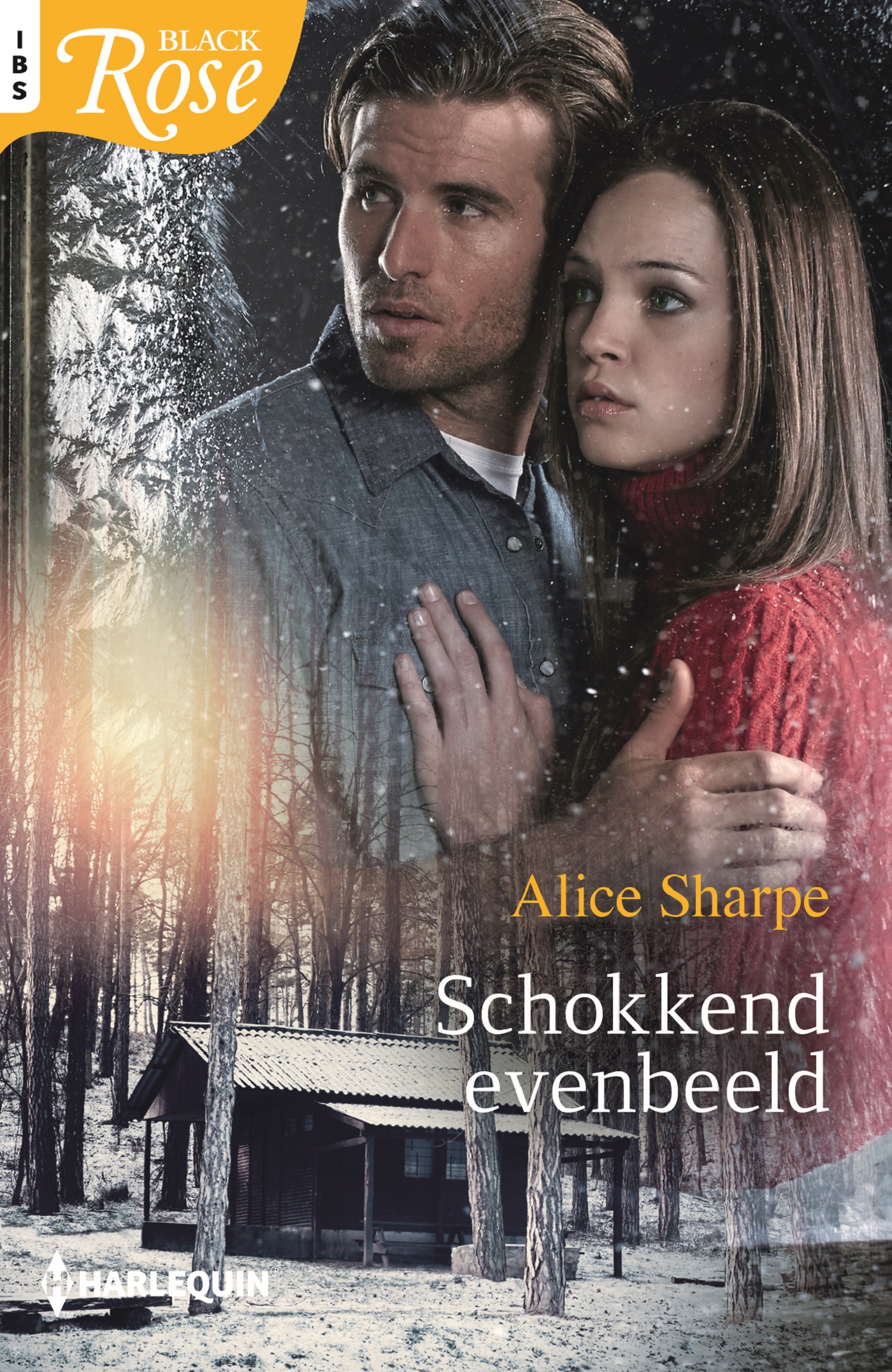 Omslag van Schokkend evenbeeld