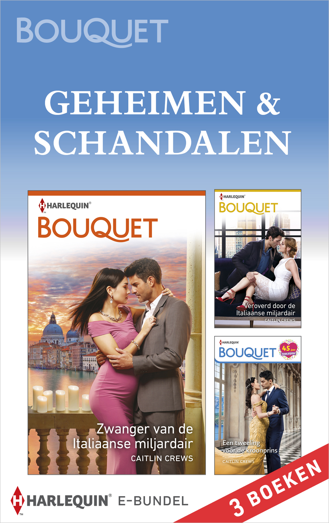 Omslag van Geheimen & schandalen
