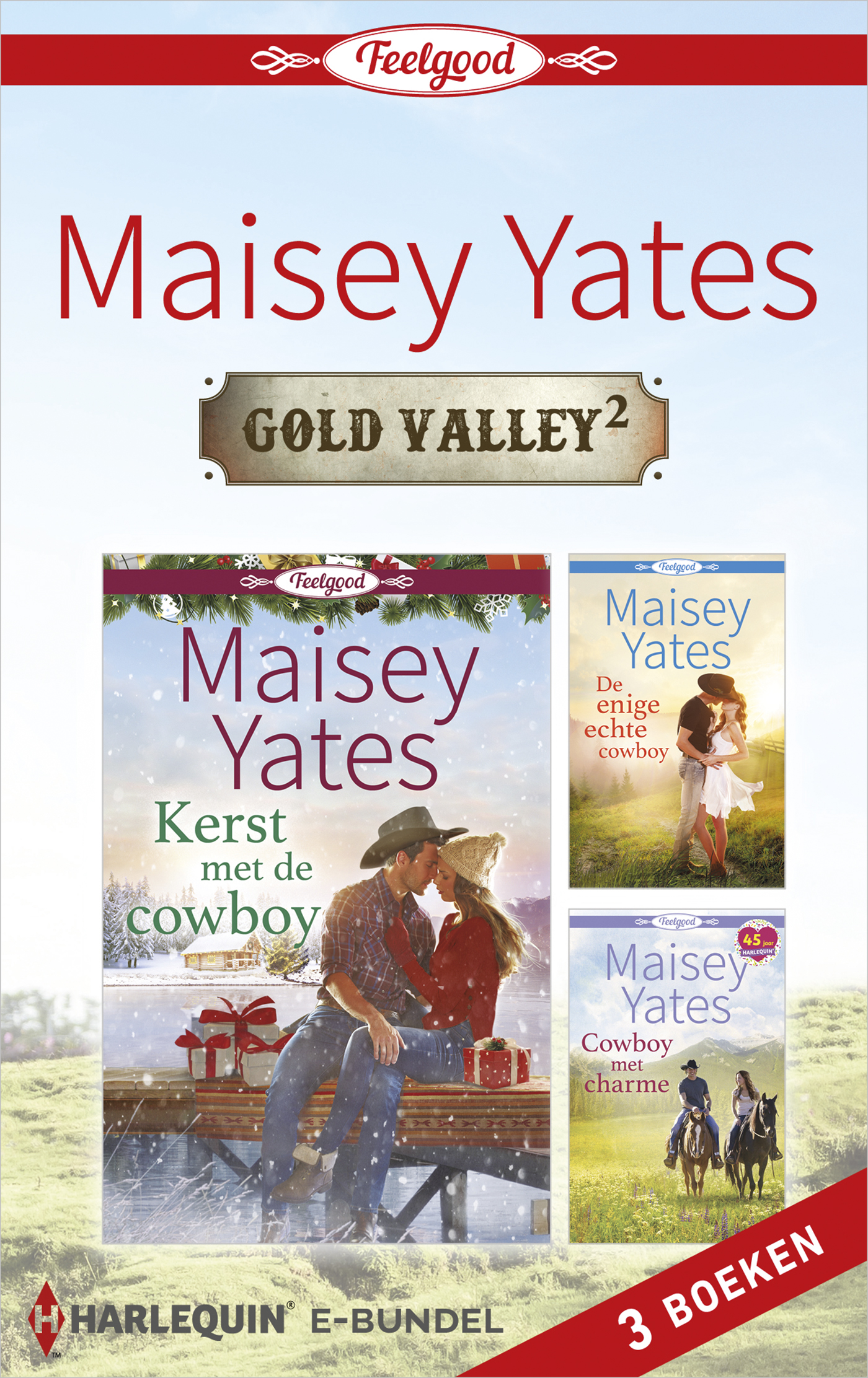 Omslag van Gold Valley 2