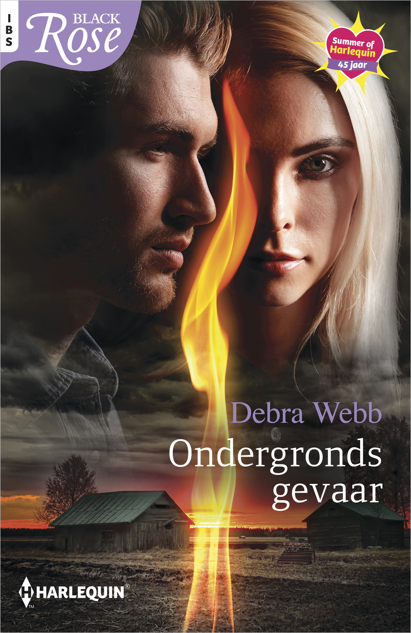 Omslag van Ondergronds gevaar