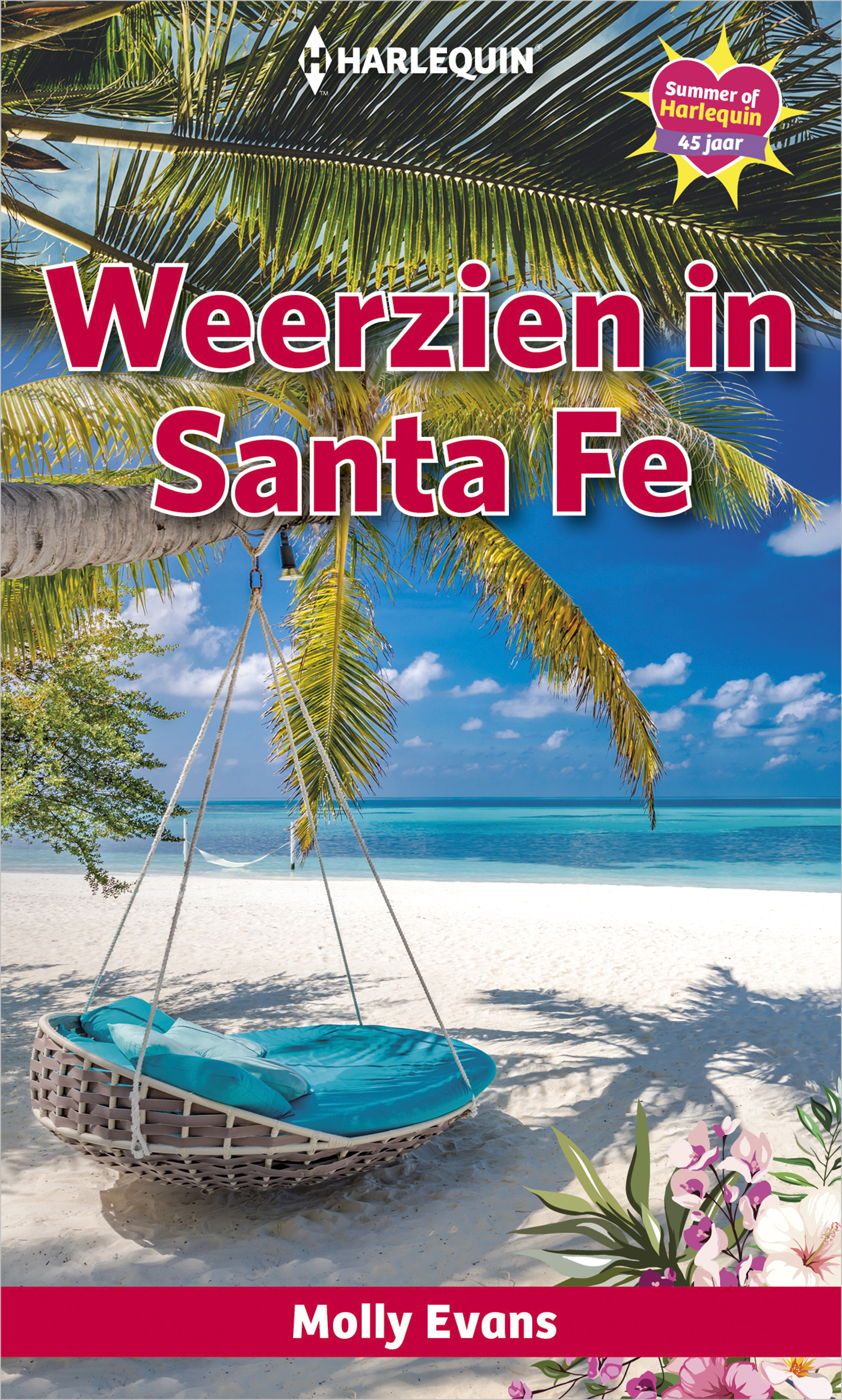 Omslag van Weerzien in Santa Fe