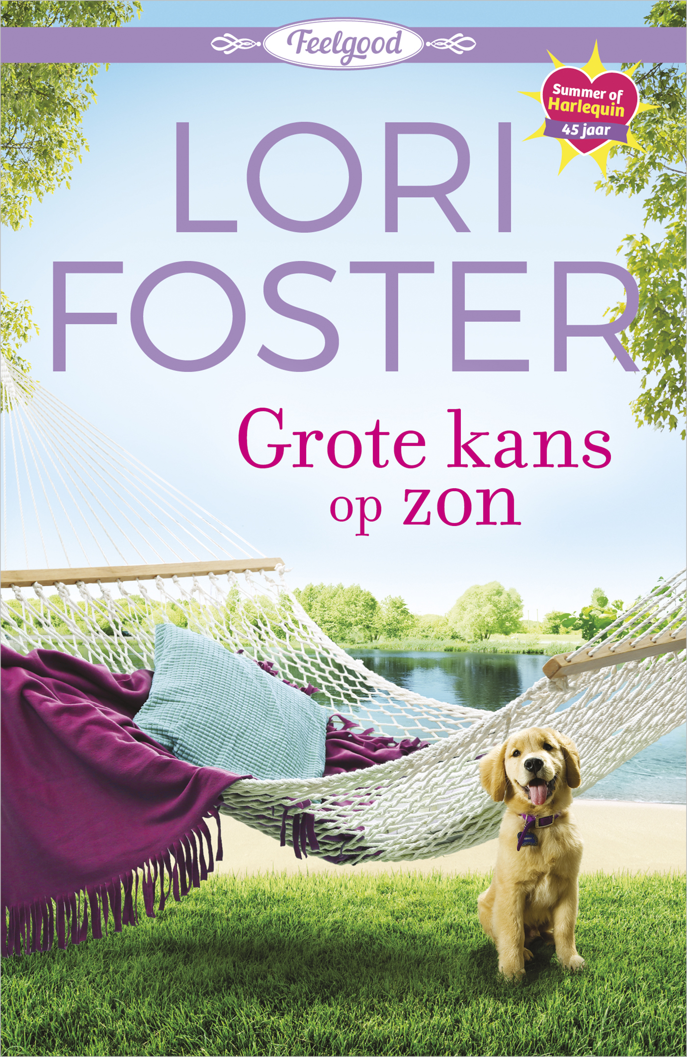 Omslag van Grote kans op zon