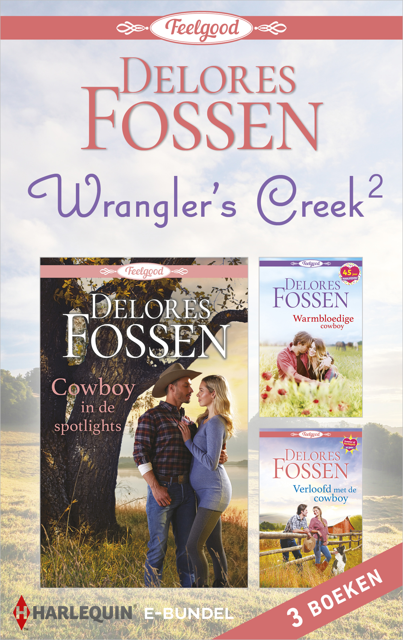 Omslag van Wrangler's Creek 2