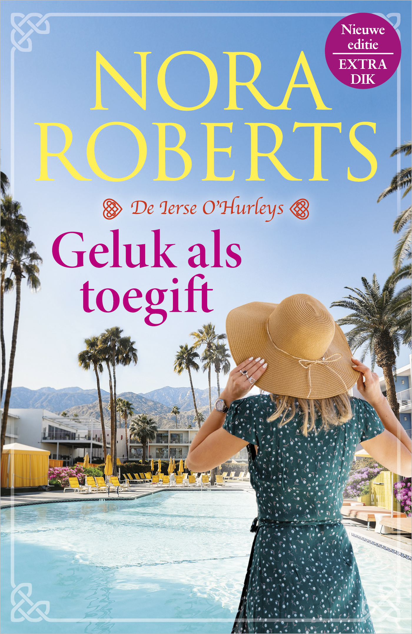 Omslag van Geluk als toegift