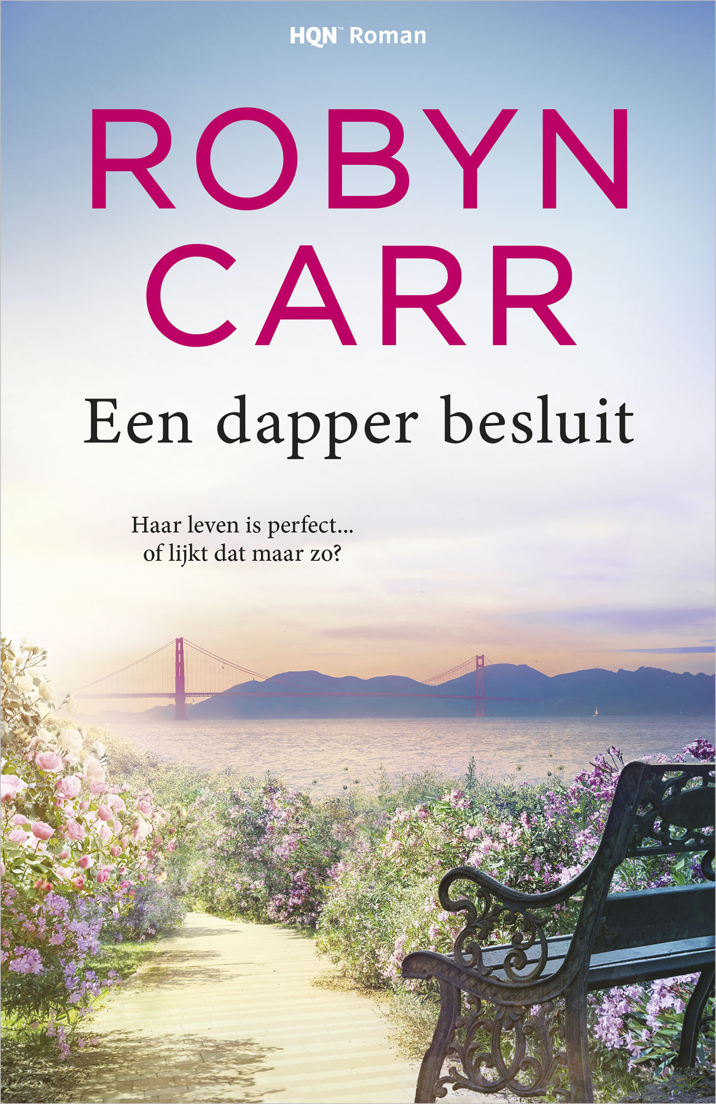 Omslag van Een dapper besluit
