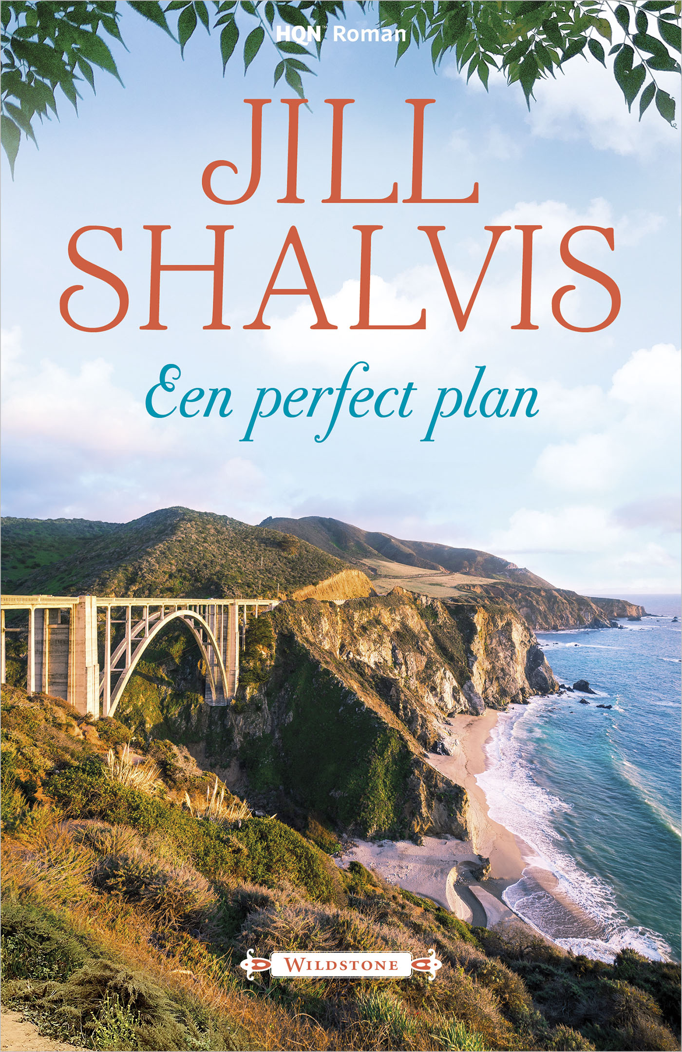 Omslag van Een perfect plan