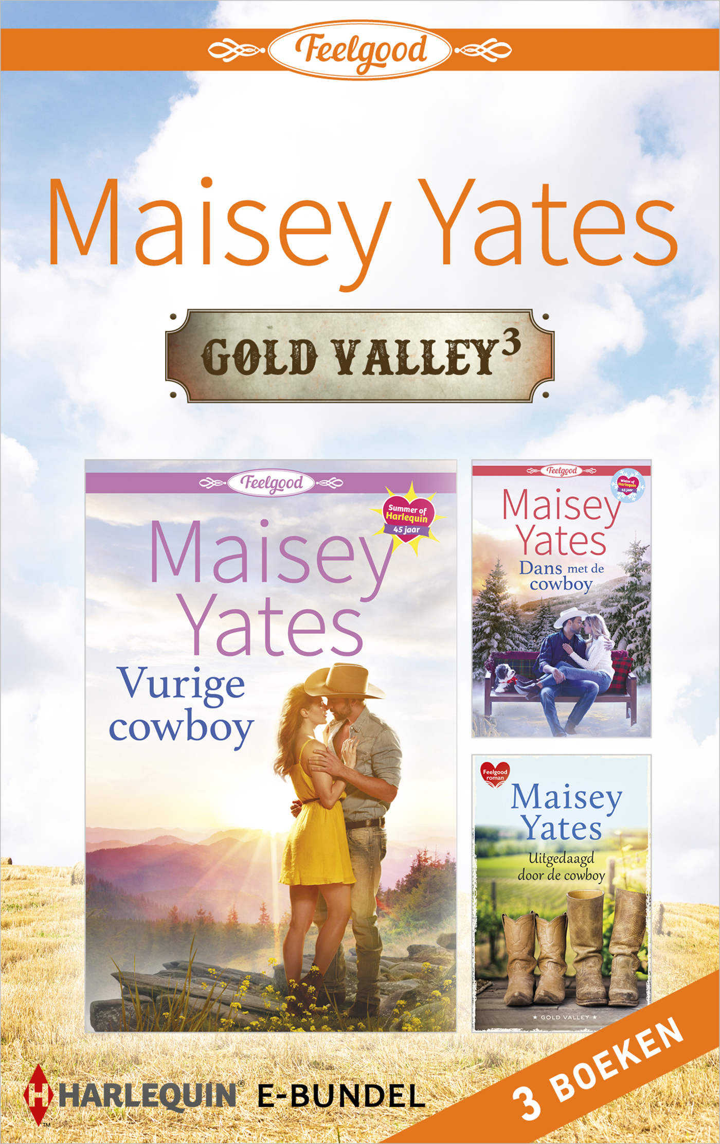 Omslag van Gold Valley 3