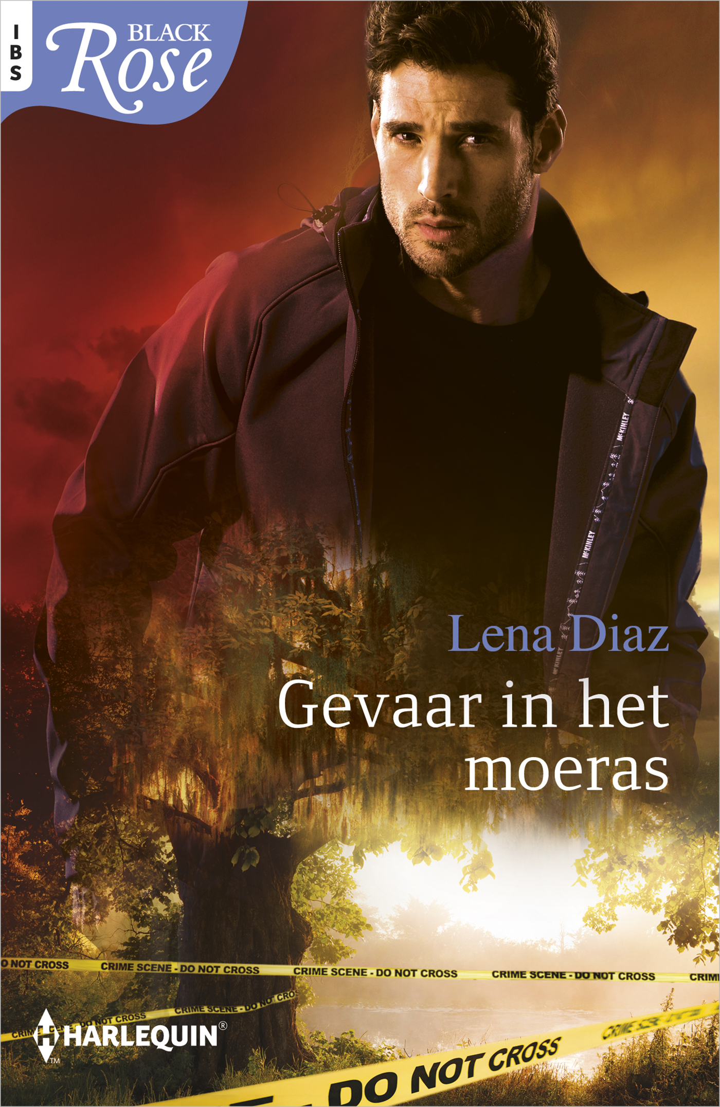 Omslag van Gevaar in het moeras
