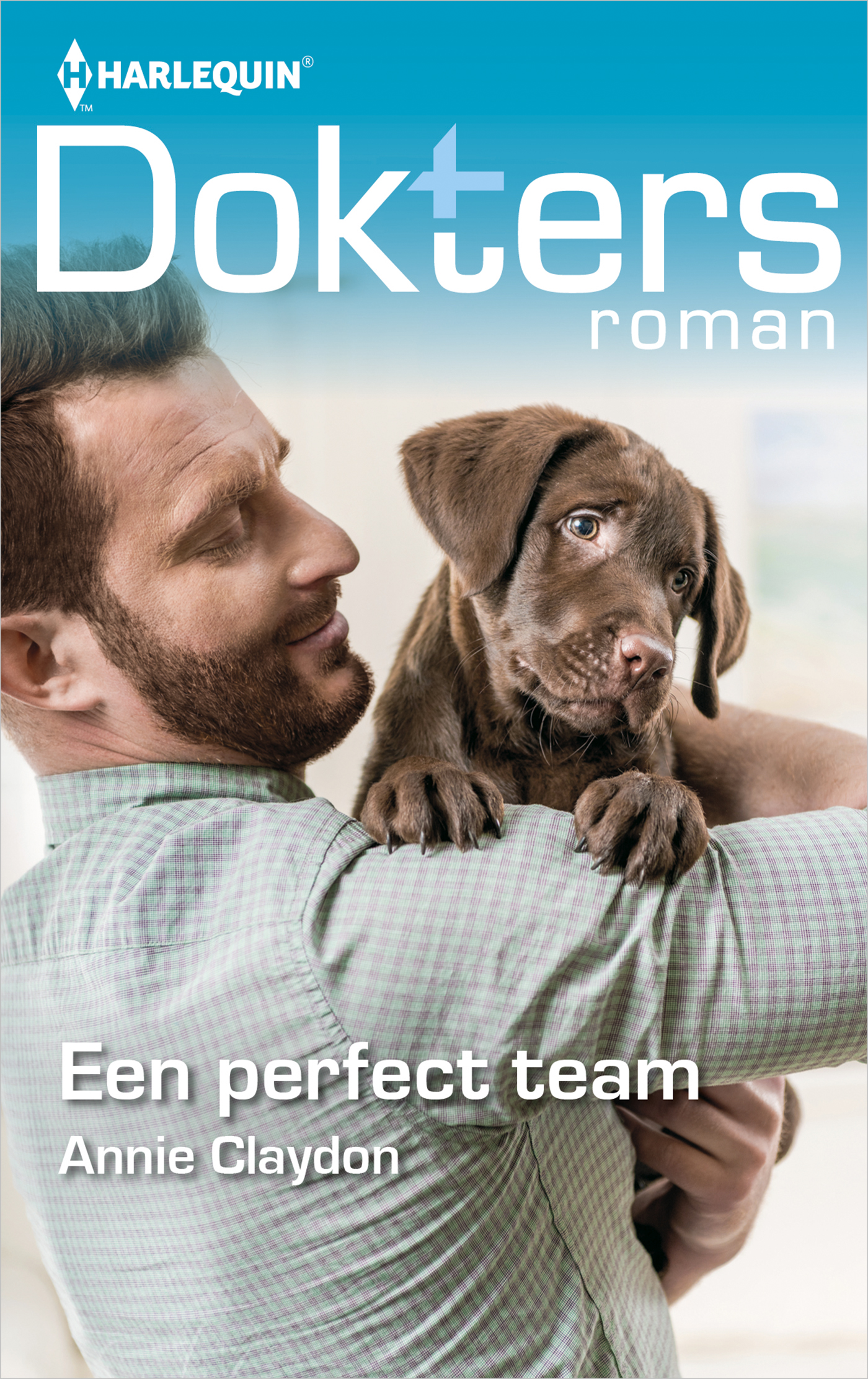 Omslag van Een perfect team