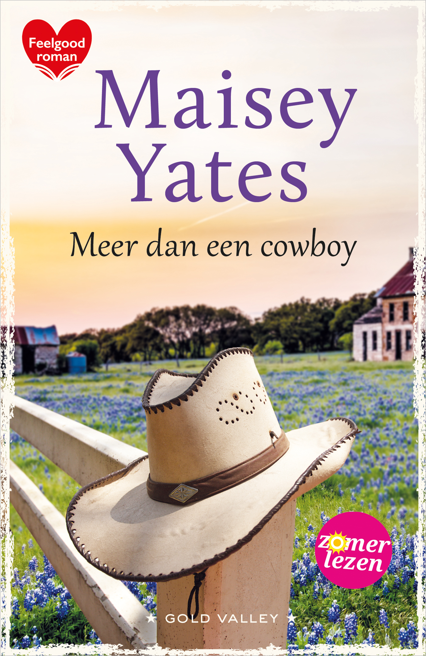 Omslag van Meer dan een cowboy
