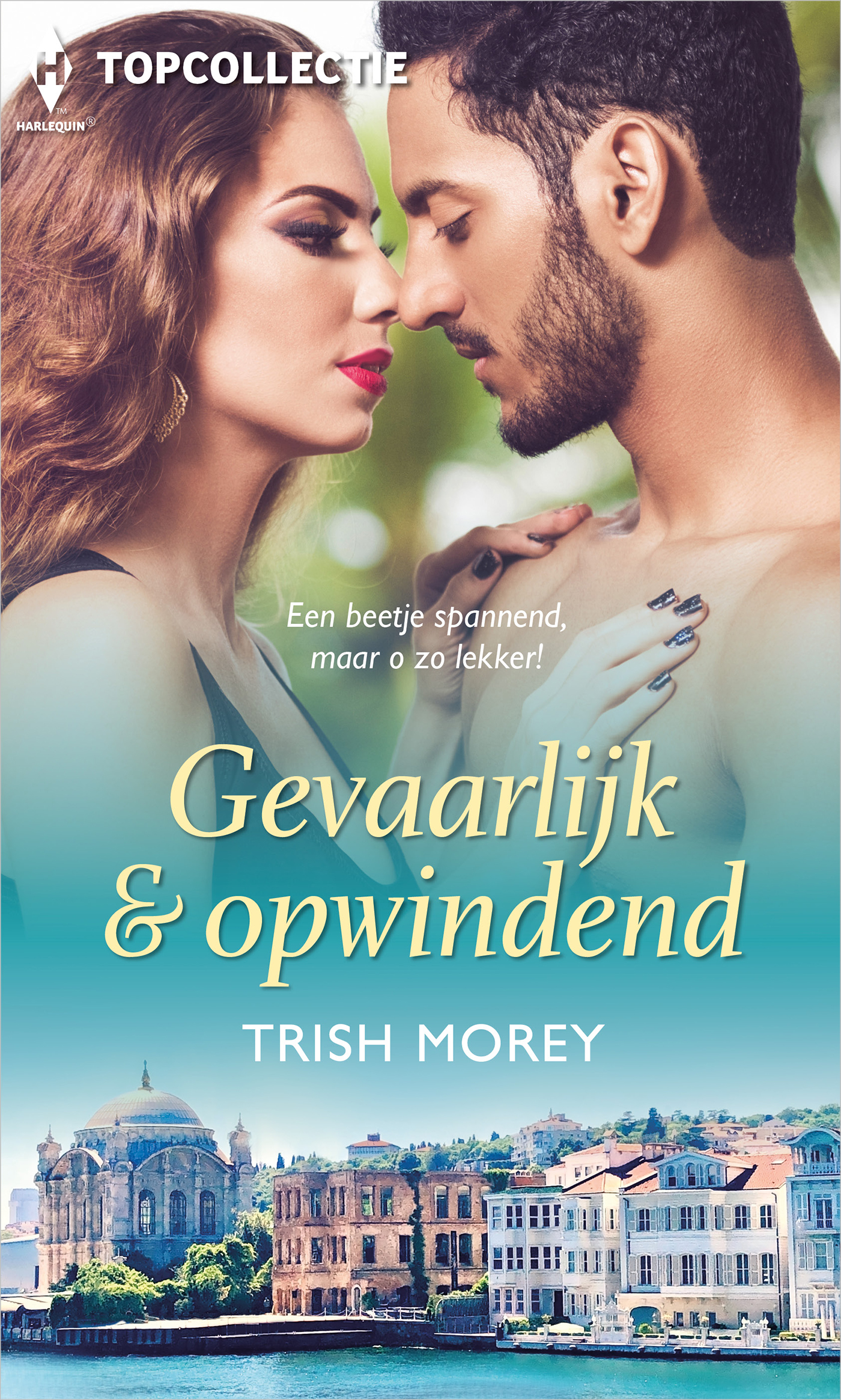 Omslag van Gevaarlijk & opwindend