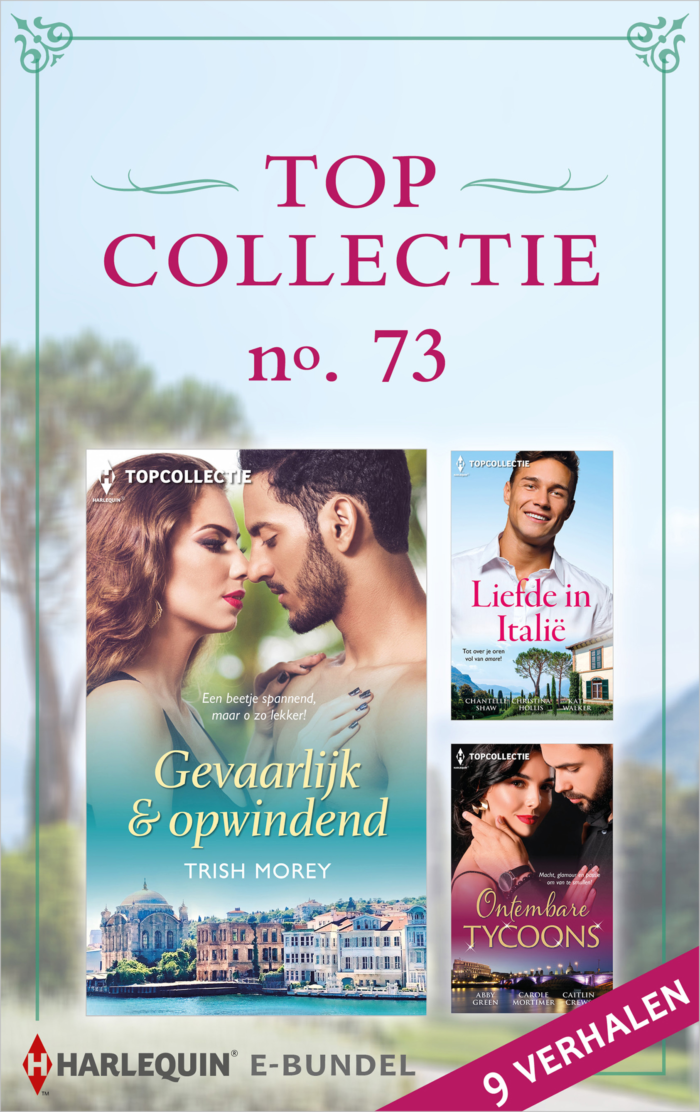 Omslag van Topcollectie 73