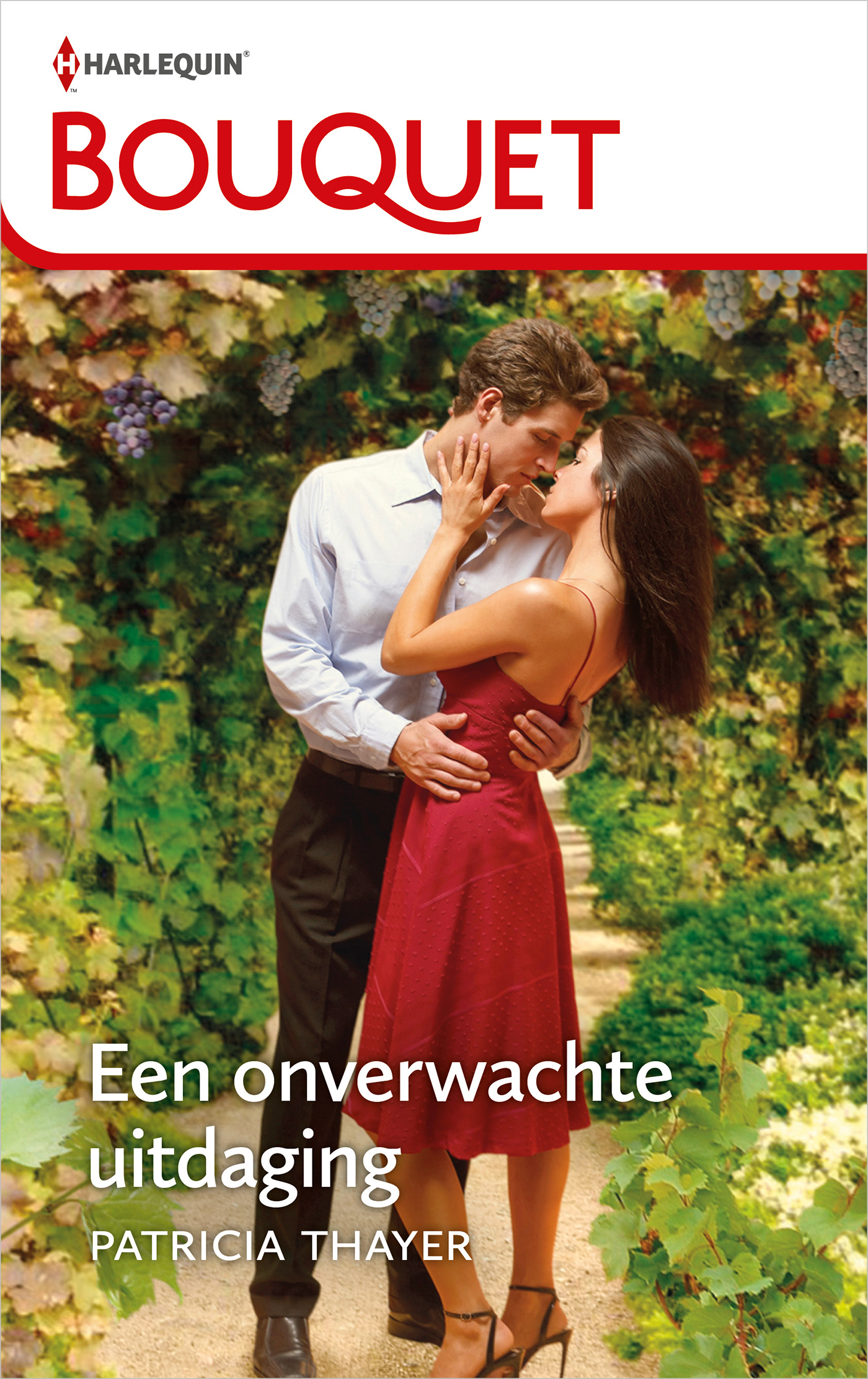 Omslag van Een onverwachte uitdaging