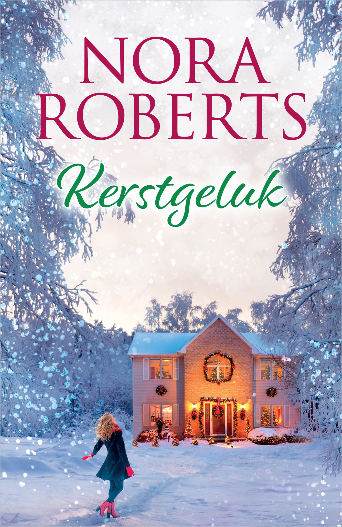 Omslag van Kerstgeluk