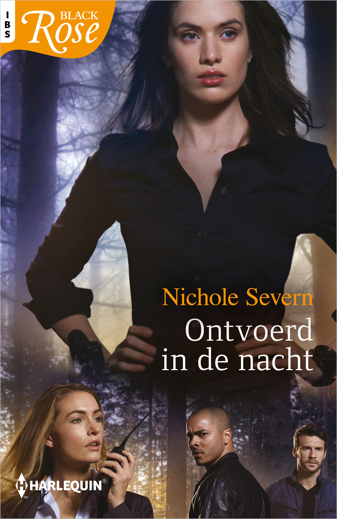 Omslag van Ontvoerd in de nacht