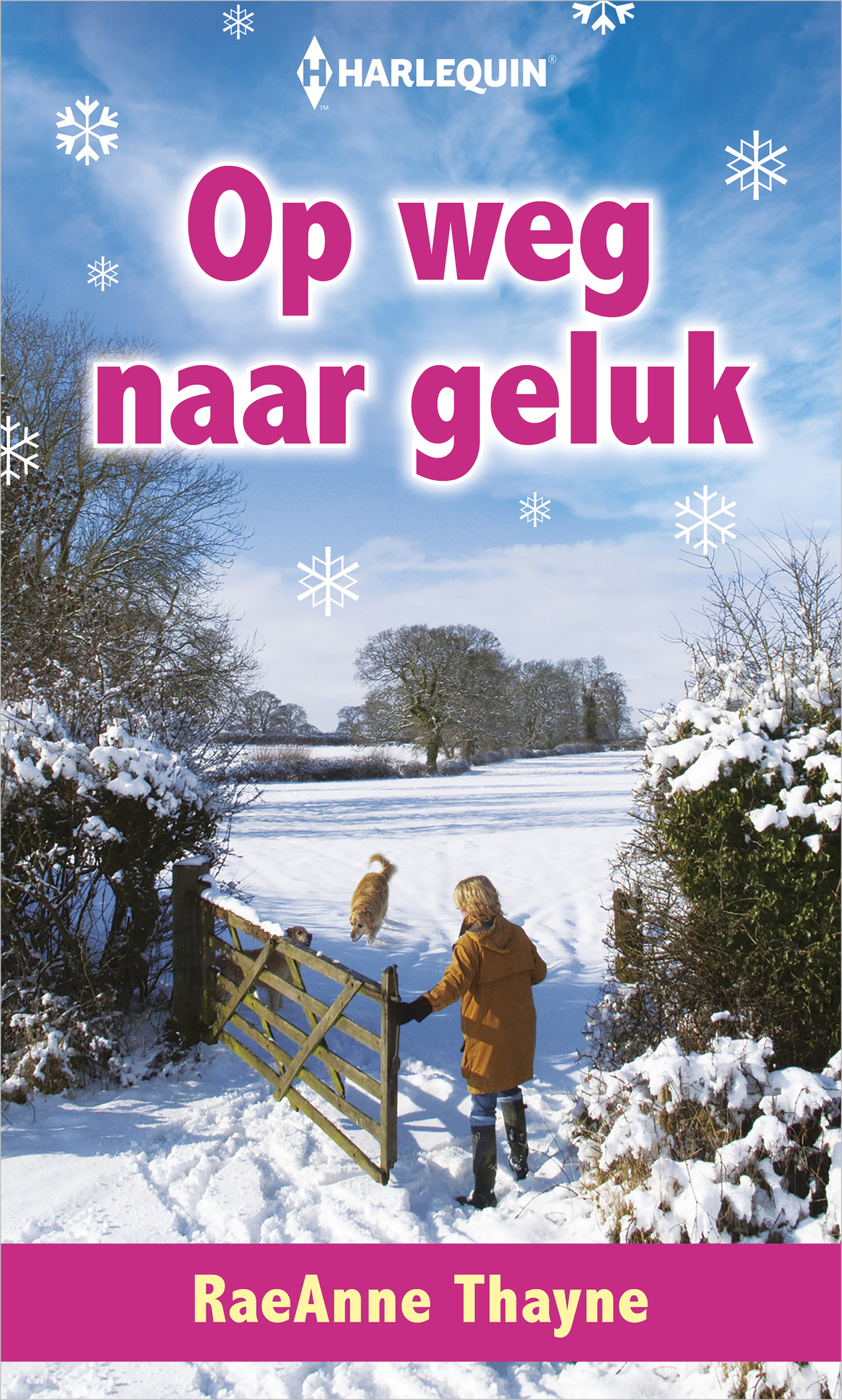 Omslag van Op weg naar geluk