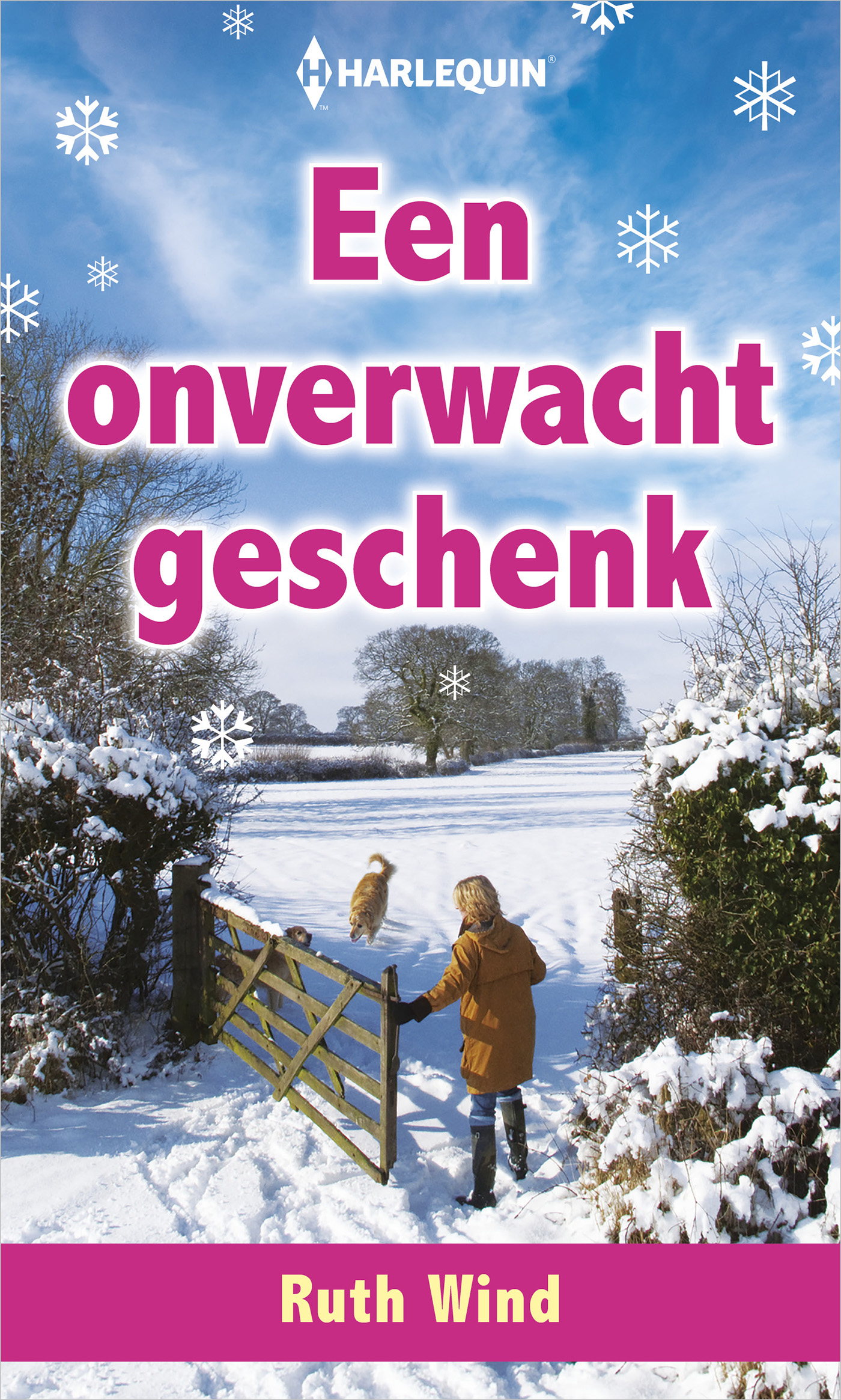 Omslag van Een onverwacht geschenk