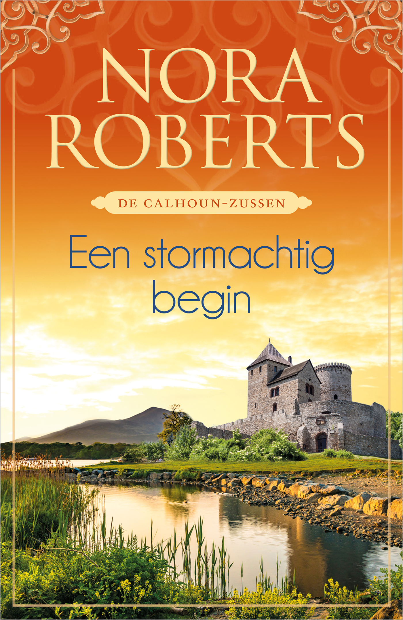 Omslag van Een stormachtig begin