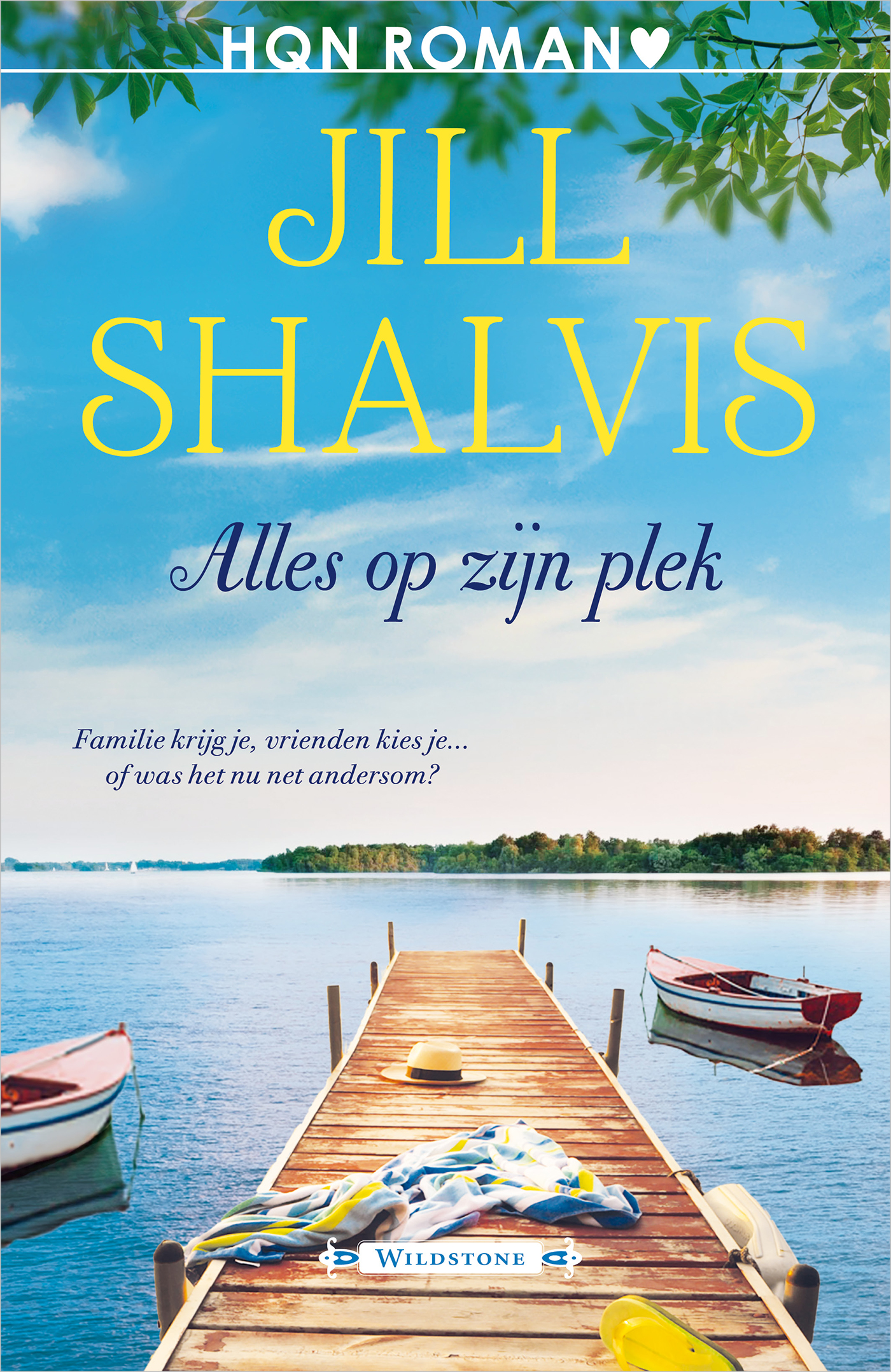 Omslag van Alles op zijn plek