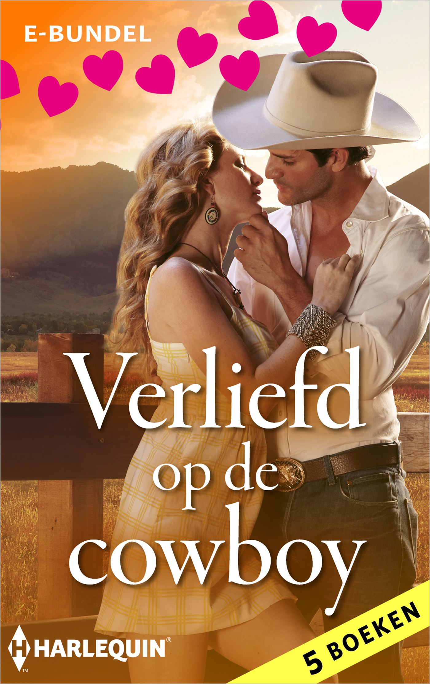 Omslag van Verliefd op de cowboy
