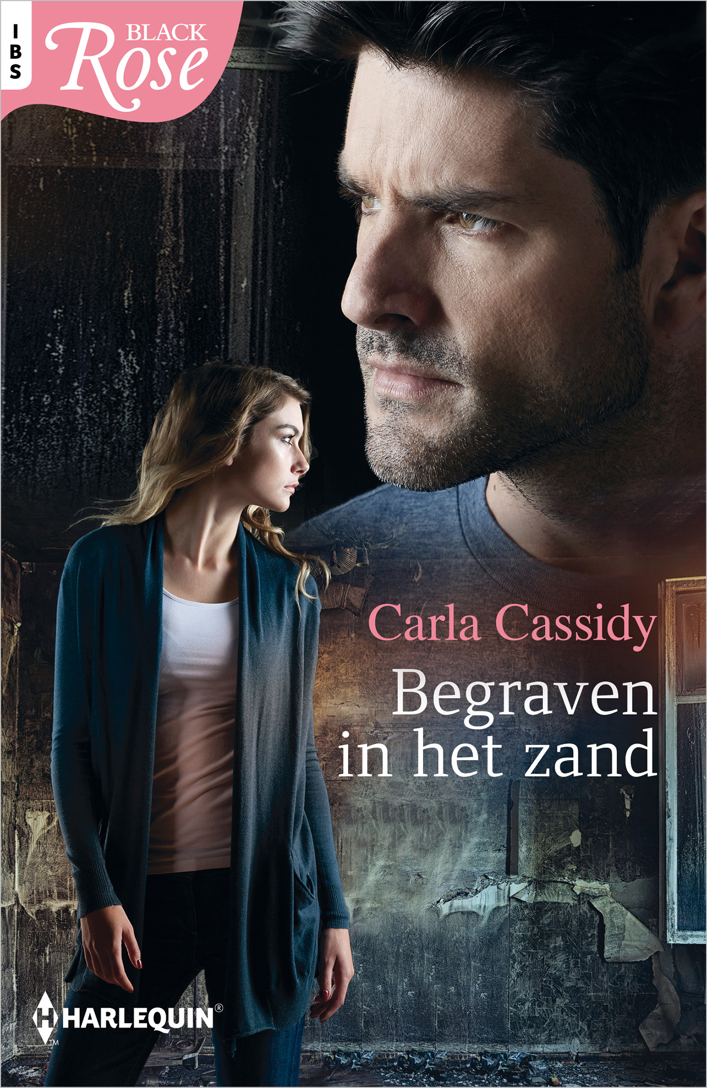 Omslag van Begraven in het zand
