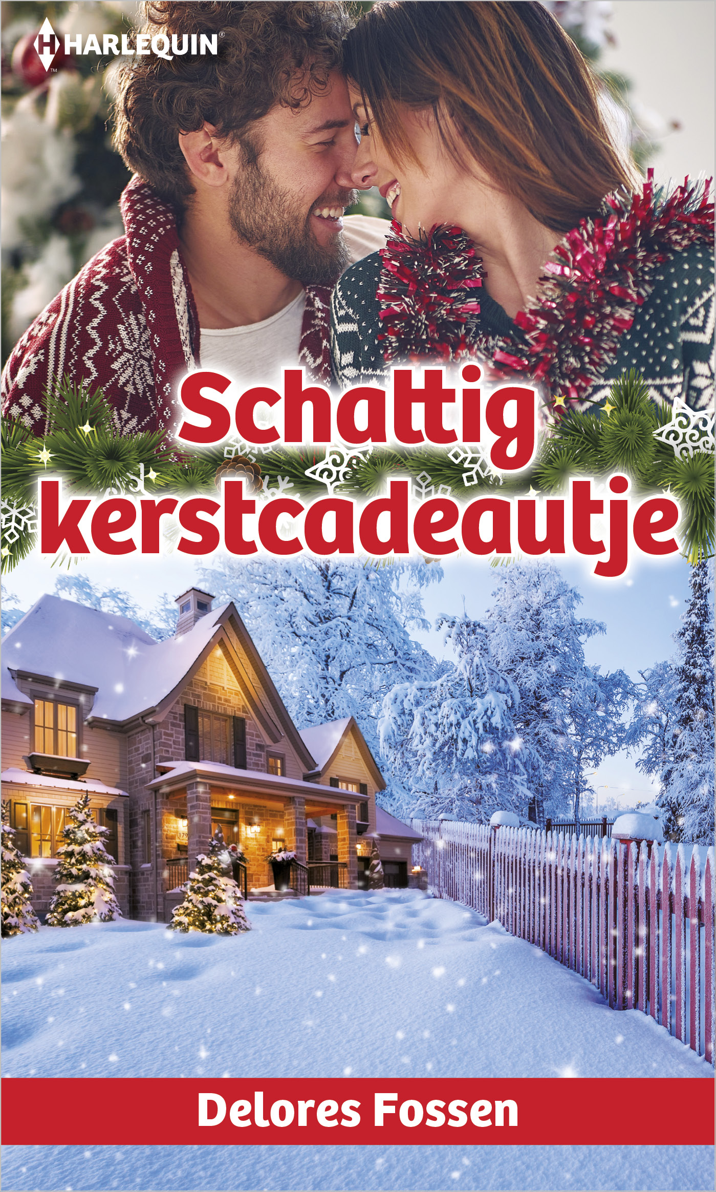 Omslag van Schattig kerstcadeautje