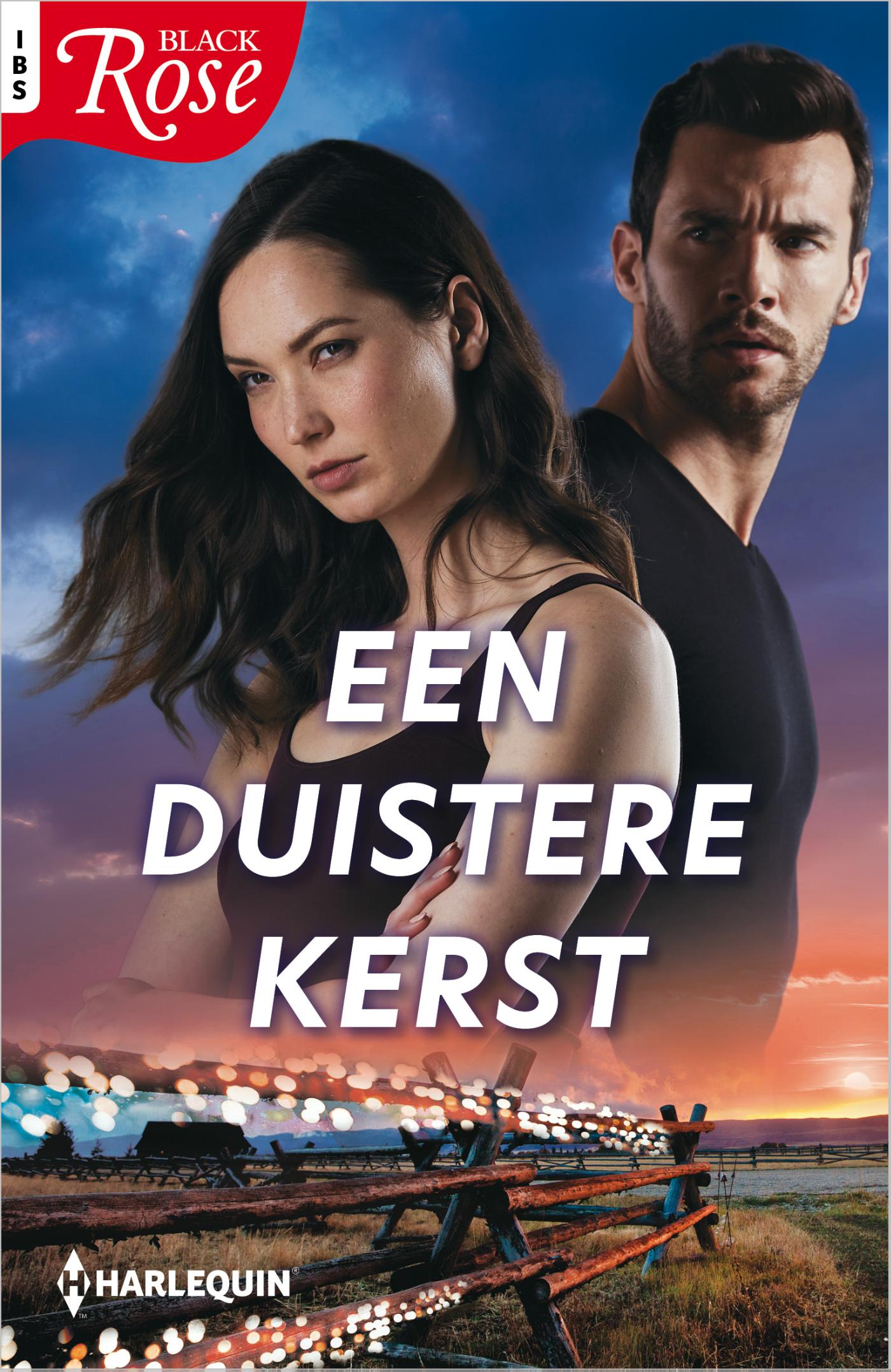 Omslag van Een duistere kerst