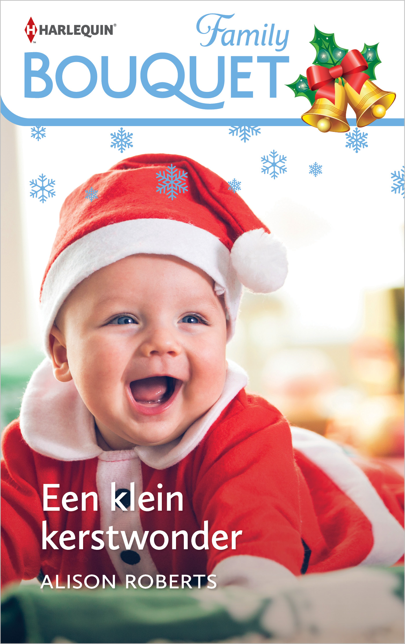 Omslag van Een klein kerstwonder
