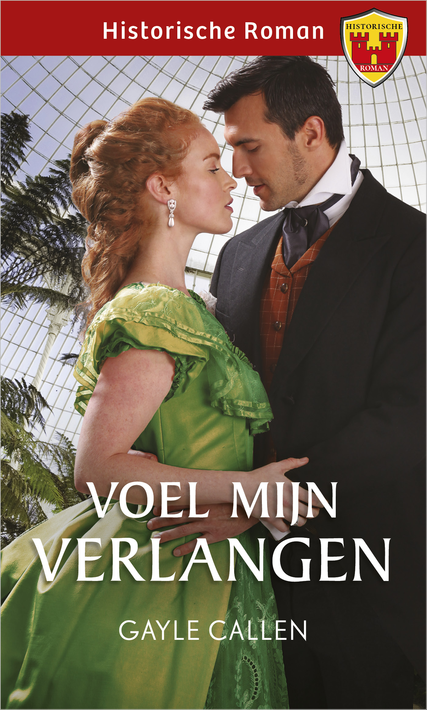Omslag van Voel mijn verlangen