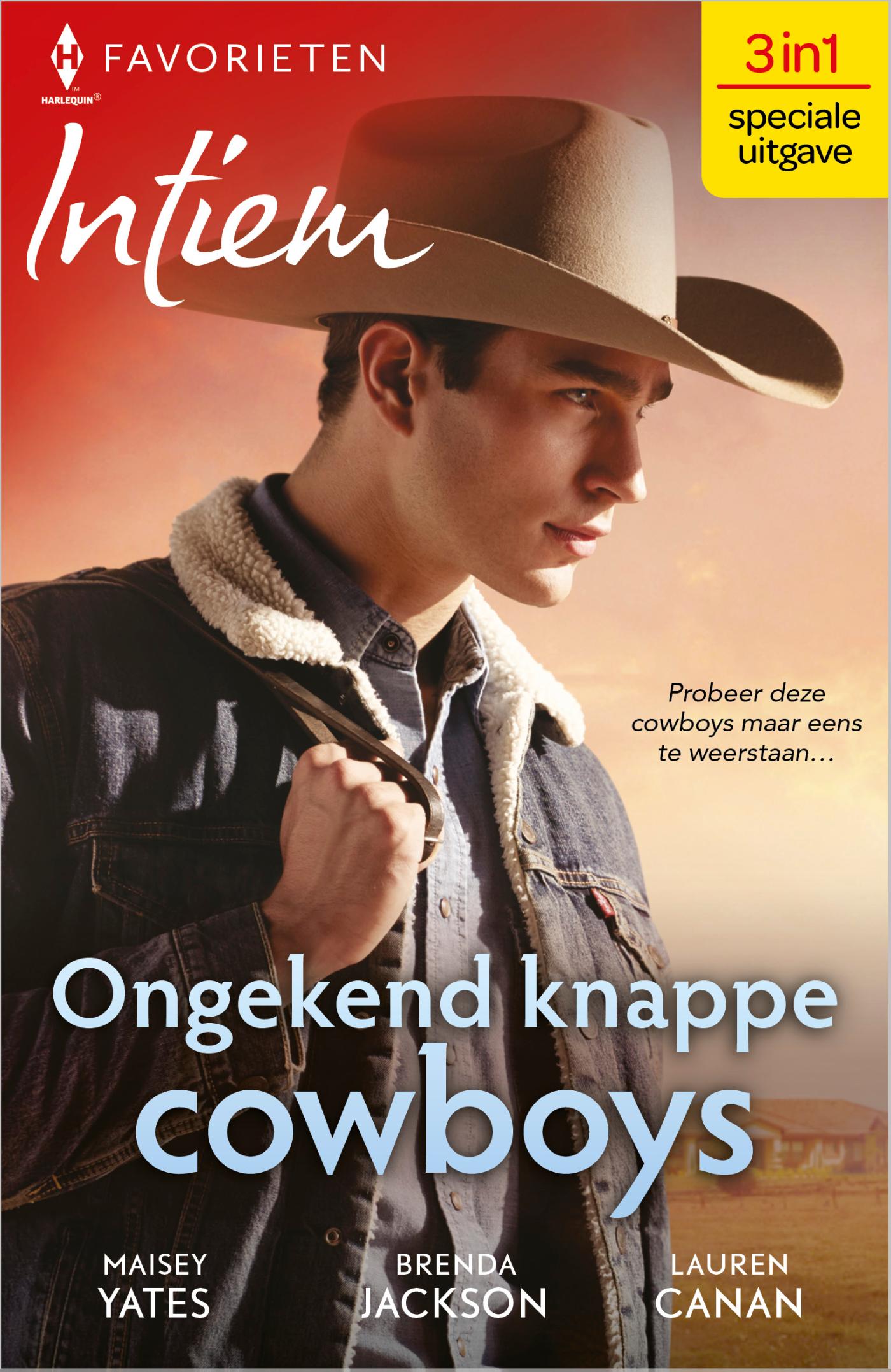 Omslag van Ongekend knappe cowboys
