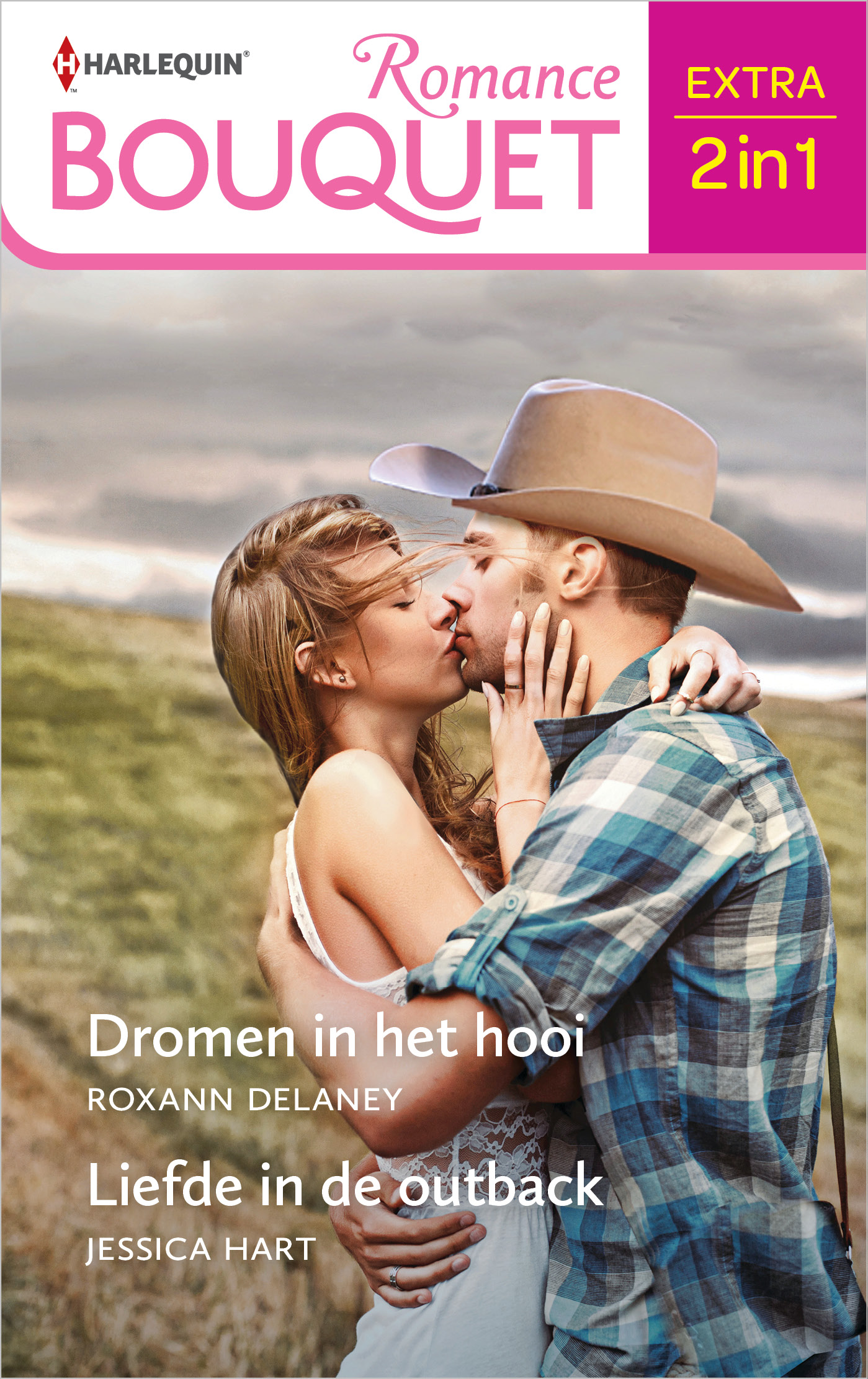 Omslag van Dromen in het hooi / Liefde in de outback