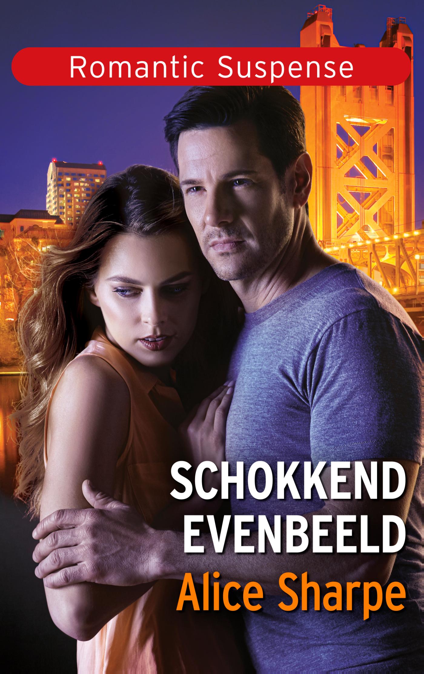 Omslag van Schokkend evenbeeld