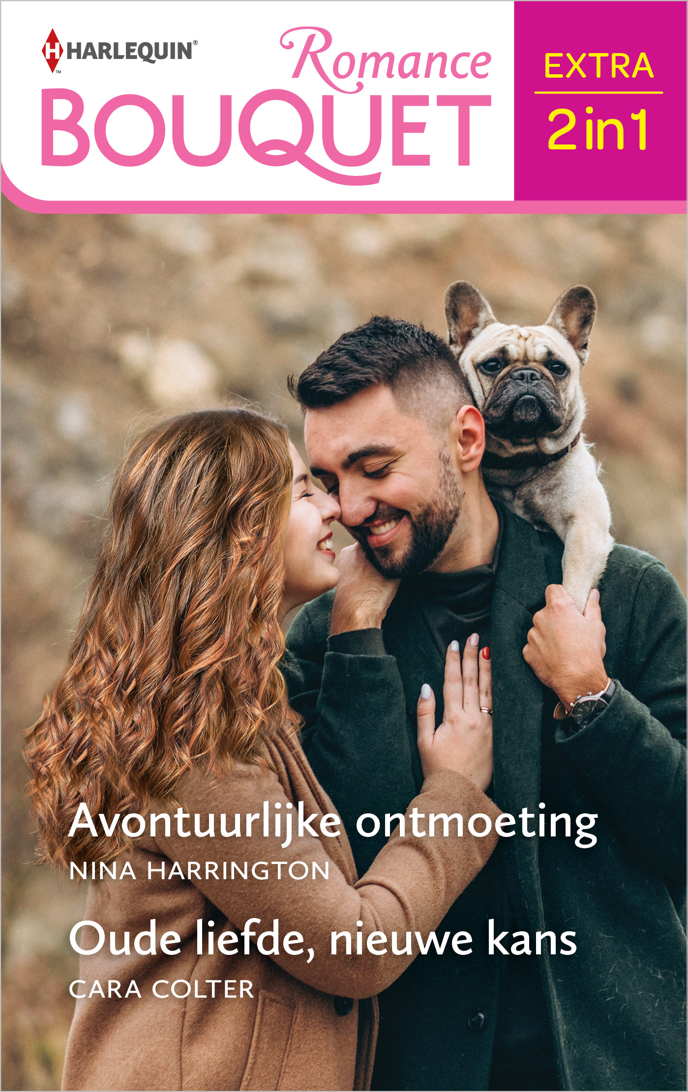 Omslag van Avontuurlijke ontmoeting / Oude liefde, nieuwe kans