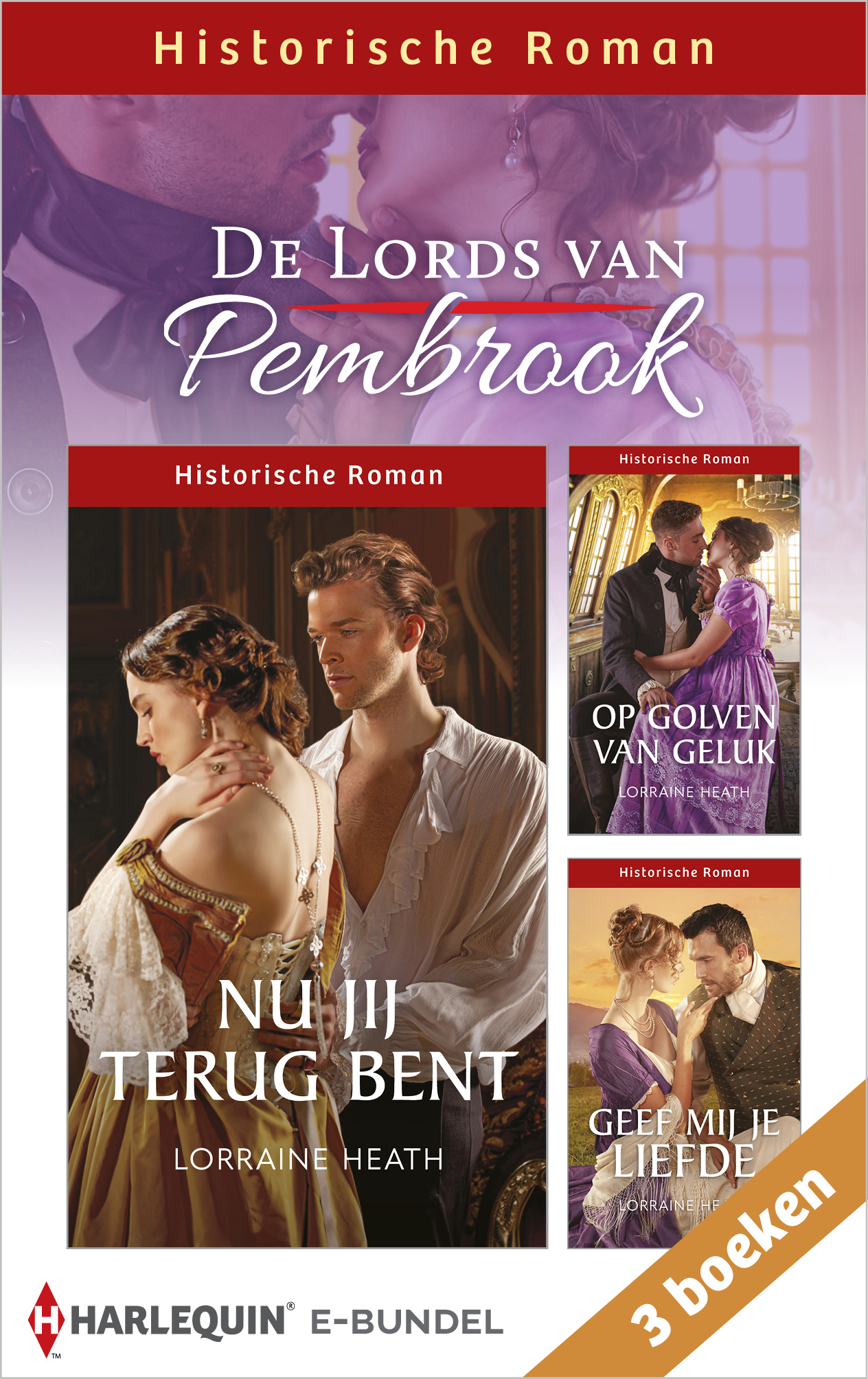 Omslag van De Lords van Pembrook