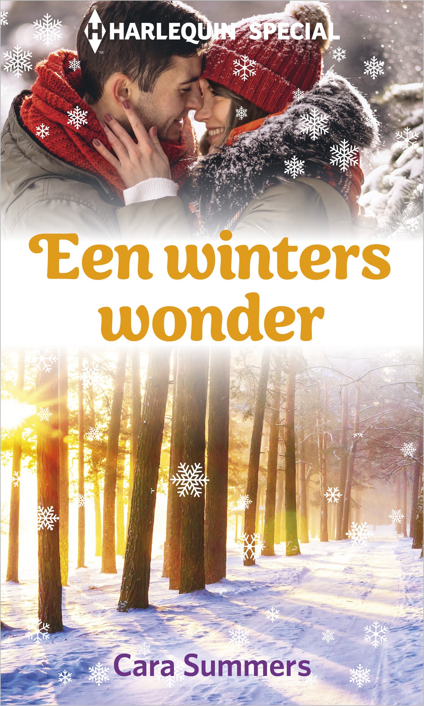 Omslag van Een winters wonder