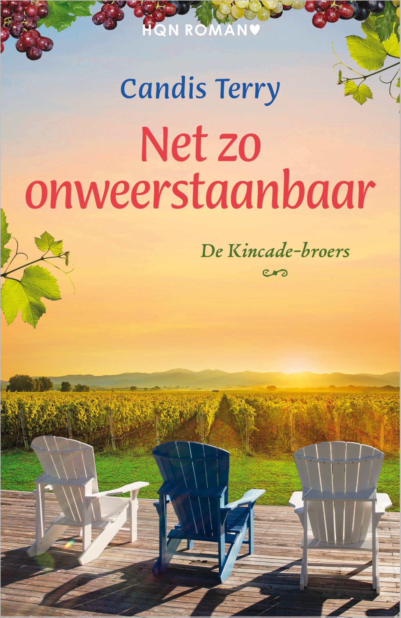 Omslag van Net zo onweerstaanbaar