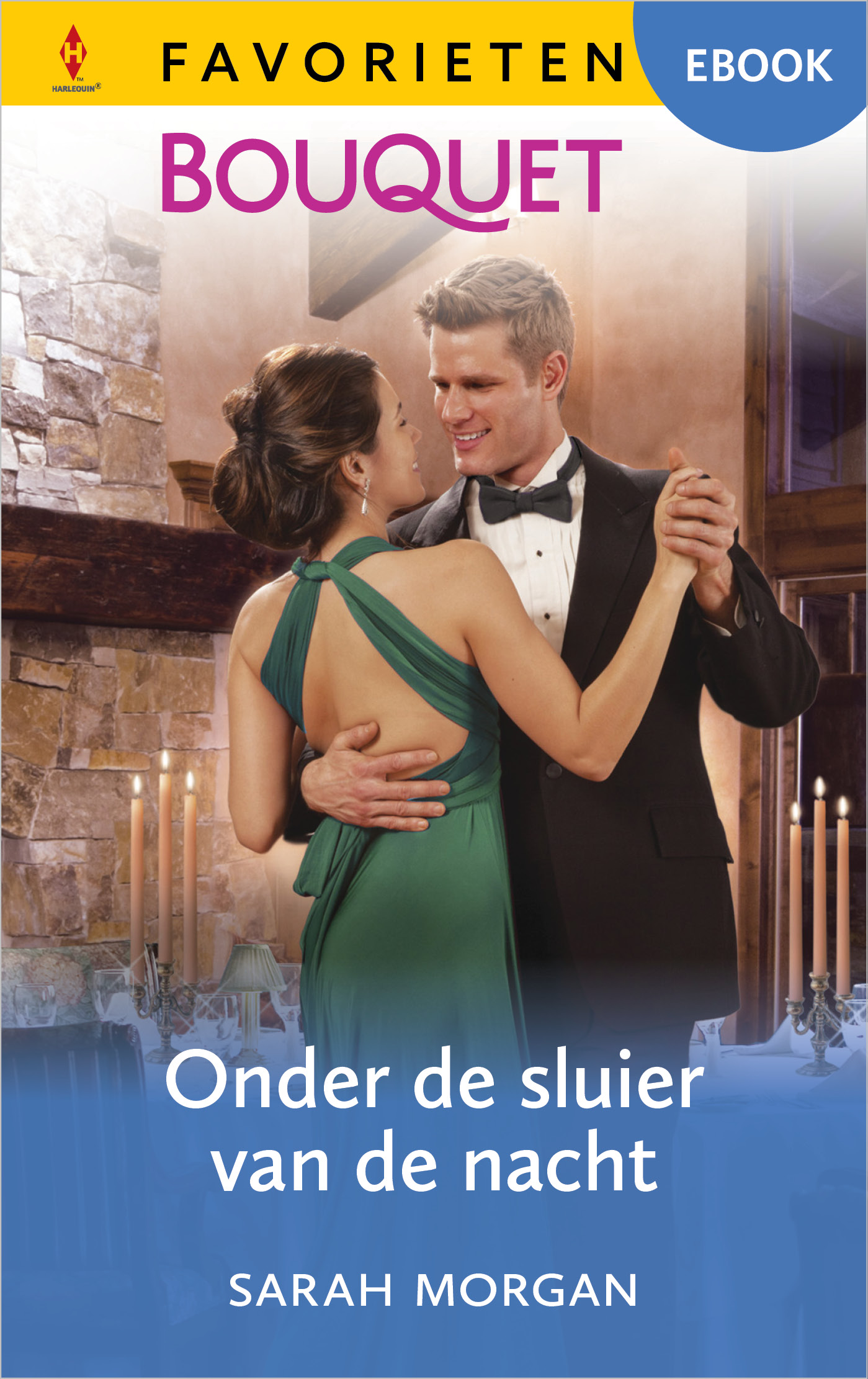Omslag van Onder de sluier van de nacht