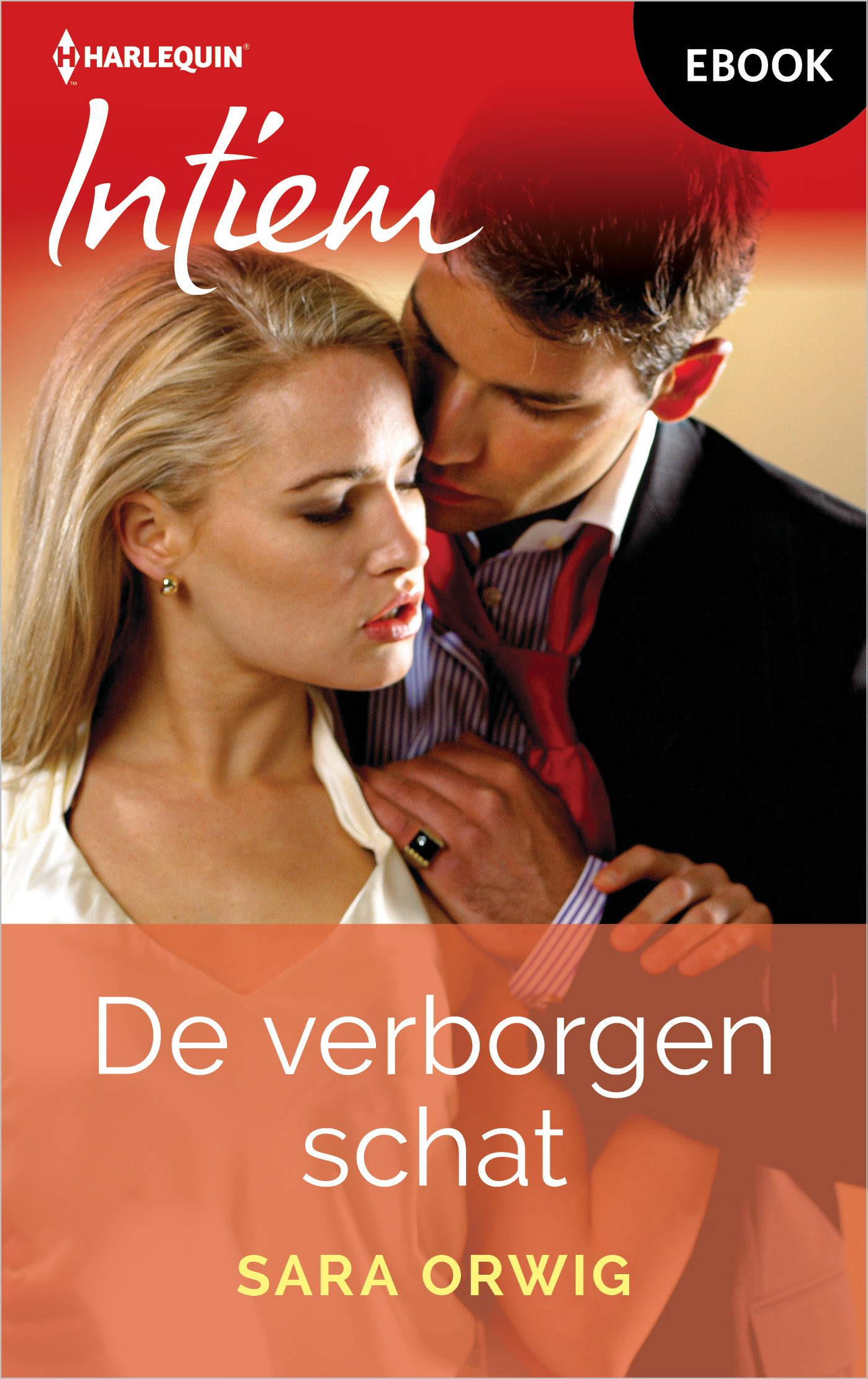 Omslag van De verborgen schat