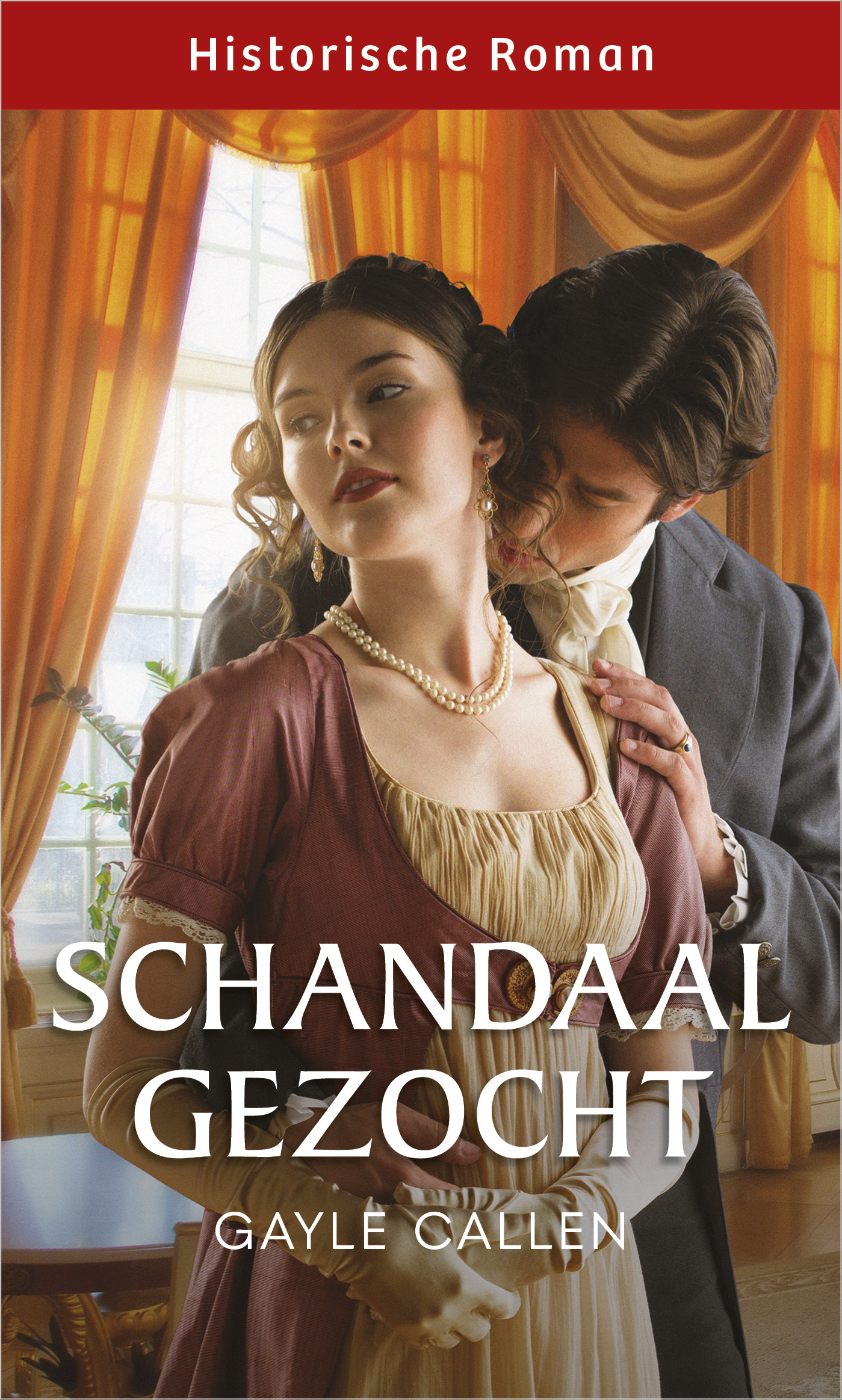 Omslag van Schandaal gezocht