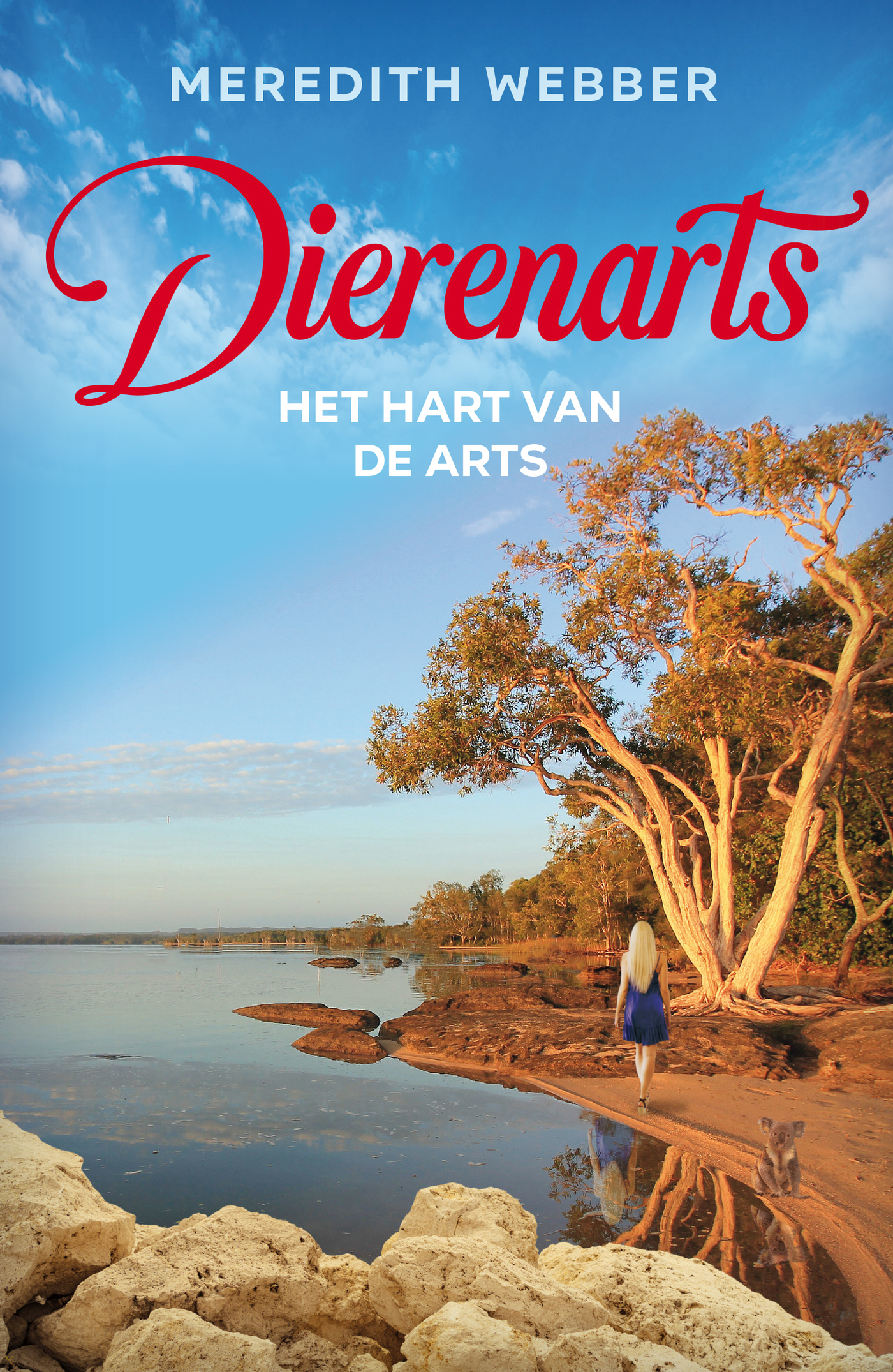 Omslag van Het hart van de arts
