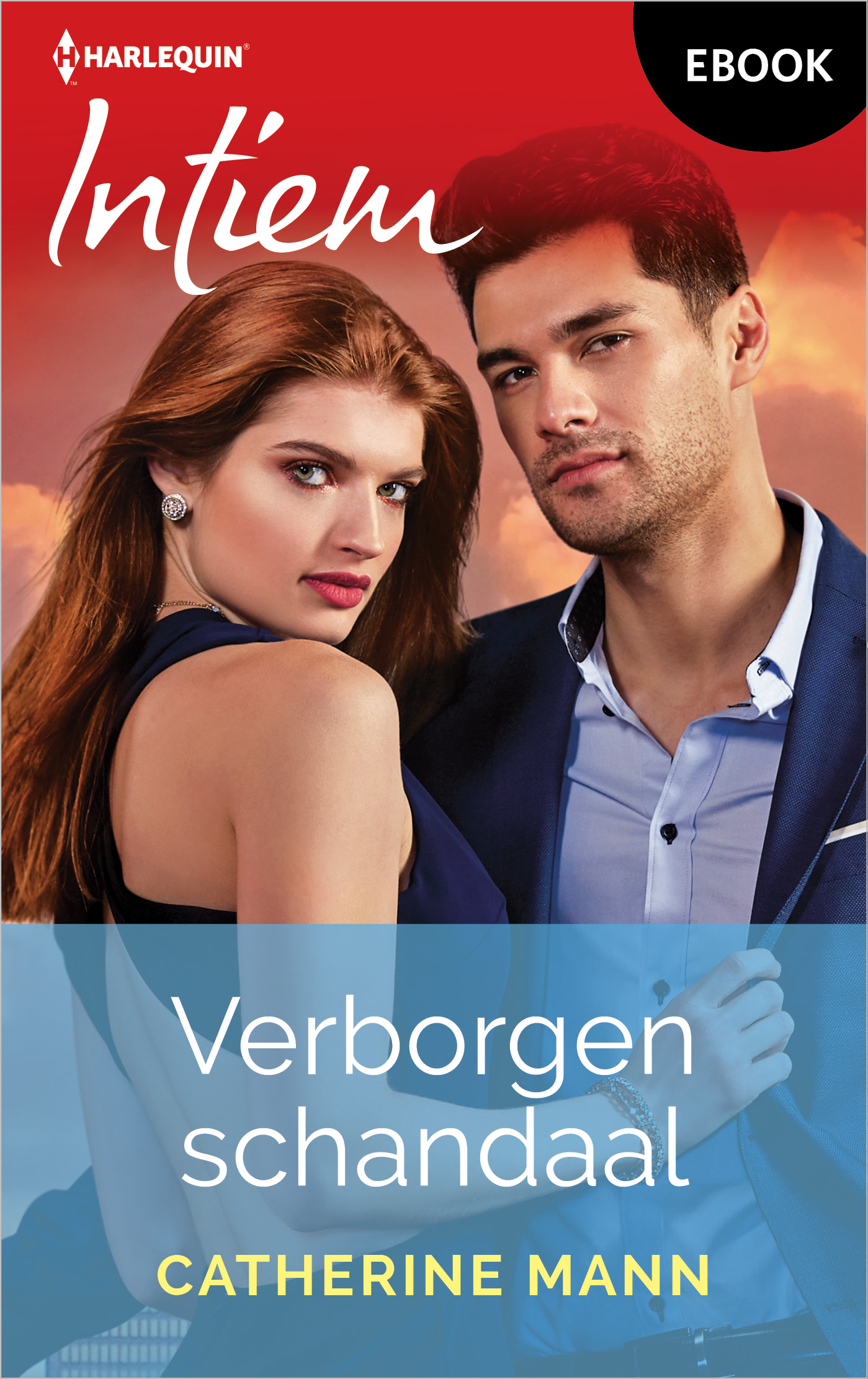 Omslag van Verborgen schandaal