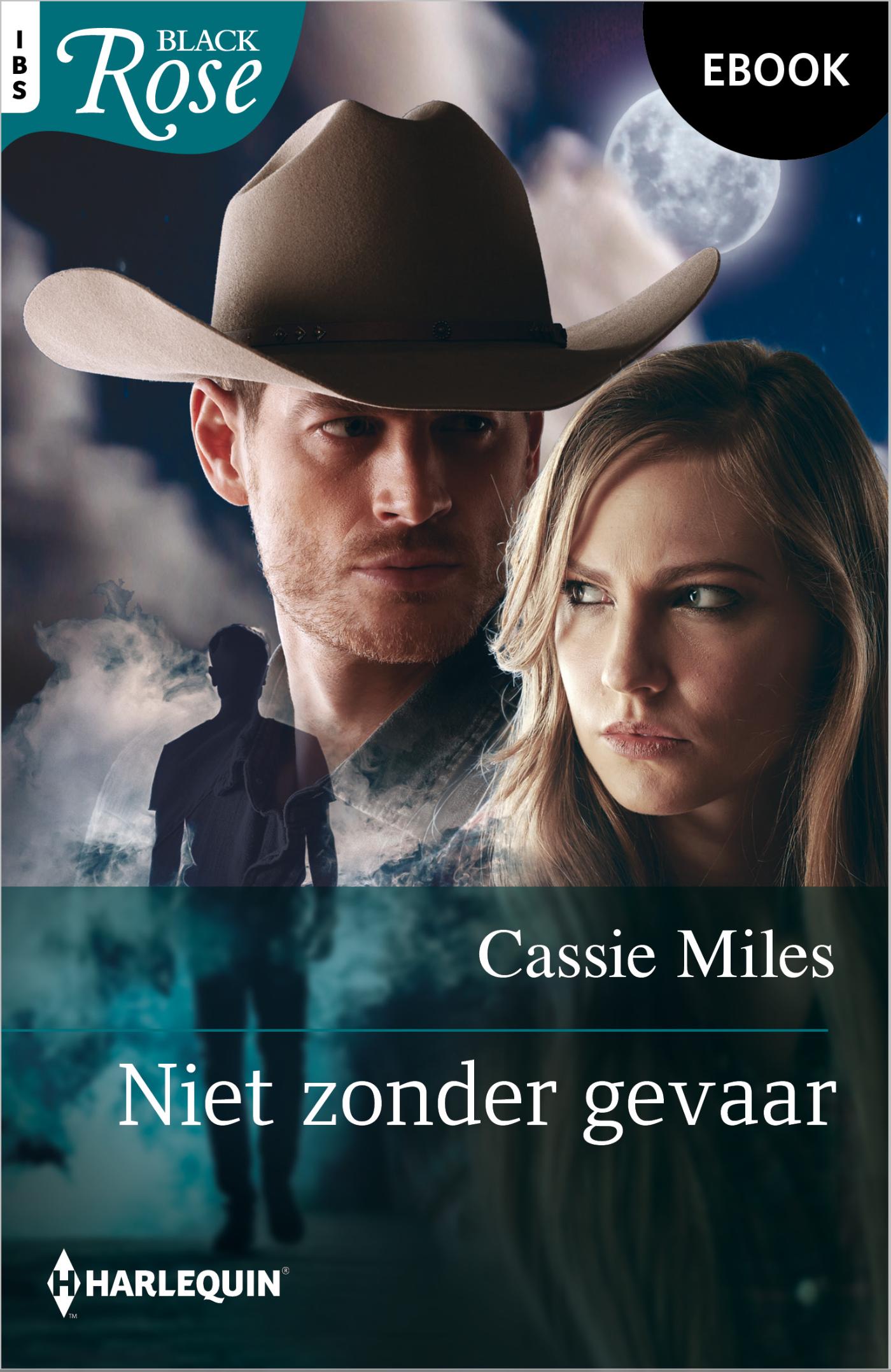 Omslag van Niet zonder gevaar