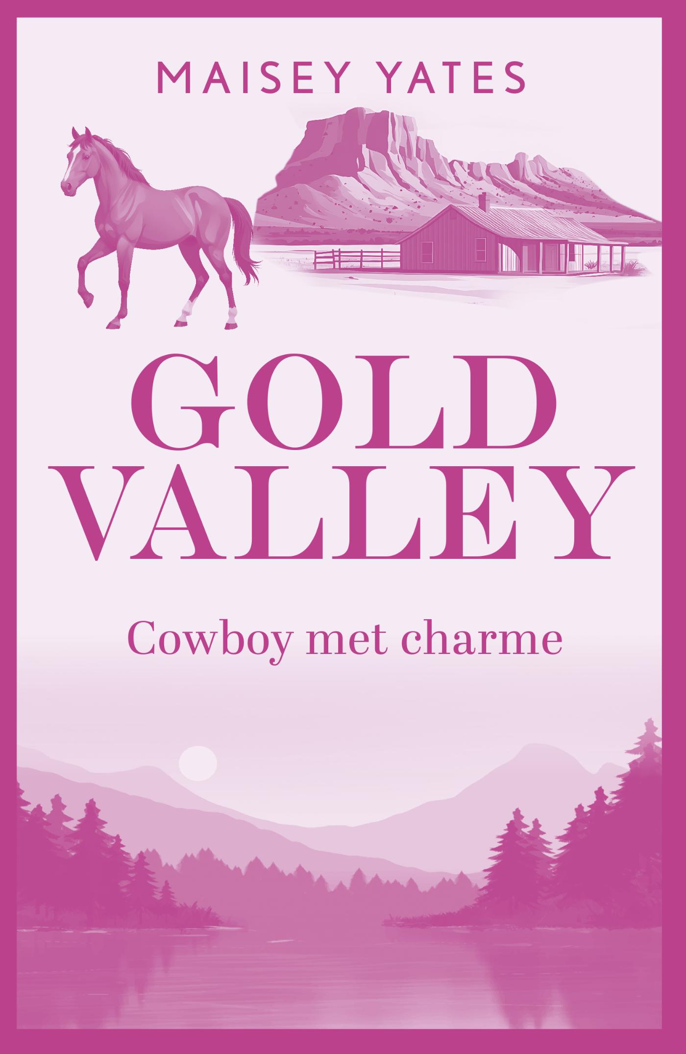Omslag van Cowboy met charme