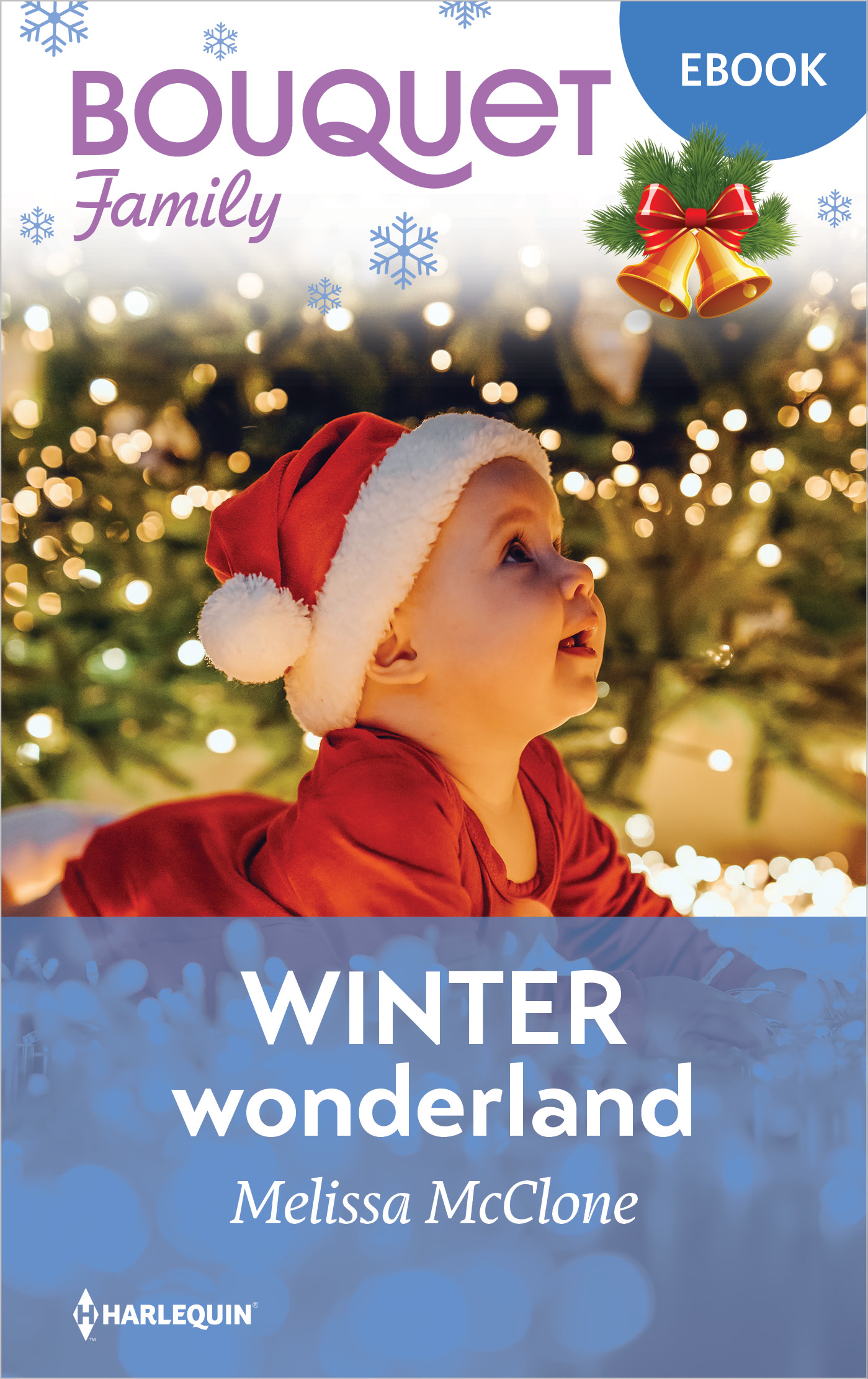 Omslag van Winterwonderland