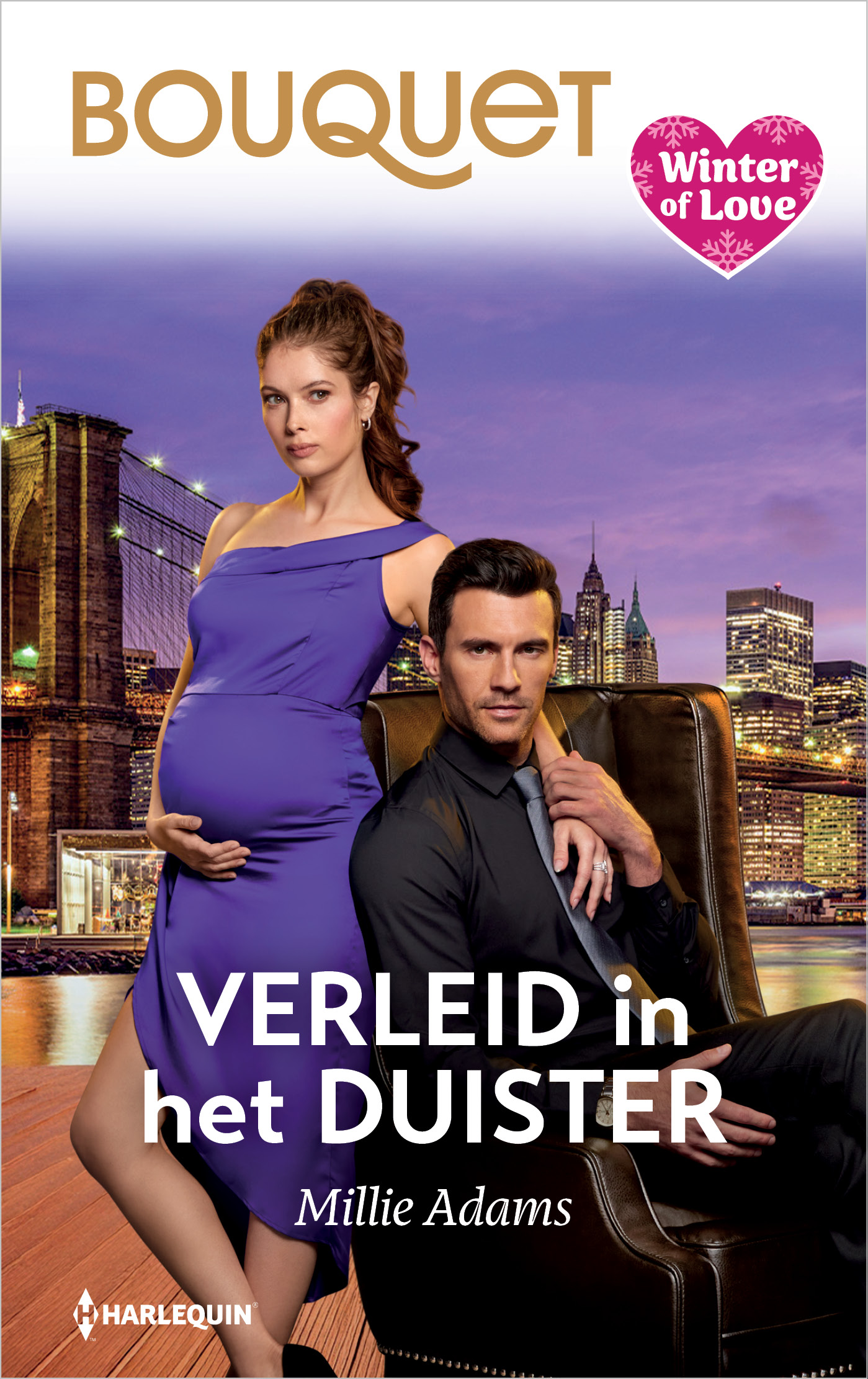 Omslag van Verleid in het duister